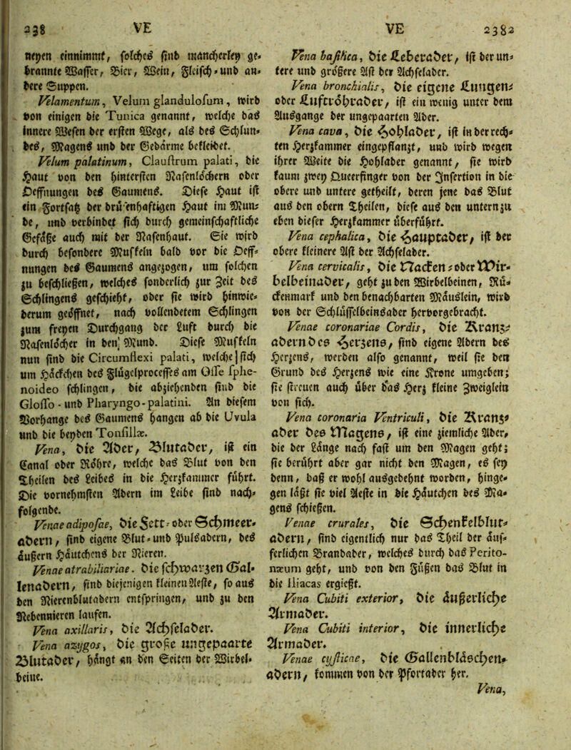 n<pm fittm'mmf, finb mAnd^crfc» ge- brnnnte SBöjfer, 23ici'/ 5öei«, gkifc^) - unt» an- bere Suppen. Velamentum^ Velum glandulofurn, Wirb Pon einigen bie Tunica genannt f weldje baö Innere SäJefen ber er(?en 5Bege, ol^ beö ©ctjfun» SÄagenö unb ber ©ebarme befleibet. Felum palatinum, Clauftrum palati, bie ^aut non ben ^intcr(?cn S^afenfdefeern ober £)effnungen bti ©aumen^. ©iefe ^aut i(l ein gortfa§ ber bru en^aftigen ^aut Im ?0iun; be, unb perblnbet fid} biirc^ gcmeinfc^aftlid)e ©cfa§e auc^ mit ber SRafen^auf. 0ie wjrb burcf) befonbere S0?uffe(n ba(b bor bie Oeff^ nungen bei ©auraeni ongejogen, um foicben ju befcbl‘«§«n/ welche^ fonberiieb jur jeit bei Scbltngeni gefebiebfr oJ>«r f»« b‘n»ic- herum geöffnet, narf> boßenbetem ©klingen jum frepen ©urcbgnng ber £uft burd) bie SRo^enlo'cber In ben] ®Iunb. ©iefe «SKuffeln nun jtnb bie Circumtlexi palati, tt)eld)ej|td) um ^arfd)en bei glugelproceffei am OlTe fpiie- noideo fcblingcn, bie abjiebenben finb bie GlolTo - unb Pharyngo-palatiiii. 2ln biefem »Borbange bei ©aumeni b<»«9«n Uvula unb bie bepben Tonfill». Fena, Me 2(öctr, ^^l^te:^el•, ifl ein Sanal ober Svdbre, welcbc bai ^lut bon ben •Ibeiien bei £clbei In bie ^jerjfammcr fuhrt. JDIe bornebrnften Stbern im £ei6e (inb nach- Venae adipofae, öie^ett-' ober ©cpmeer» flöevn/ ftnb eigene ©lut»unb ipuliabern, bei dugern ^autebeni ber agieren. J/knae atrablliariae. t>ie fc^Wrtr3en Ö>öl» lenööevn, finb biejenigen neinenSleße, foaui ben aRierenMufabern entfpringen/ unb ju ben SRebennieren laufen. Vena axillaris, t>ie 2(c^relö&er. Vena azijgos, tic guo|;e uiigepaartß 23lutat>ev/ b«n9^ «« ©eiten ber SBirbel* beine. FenahaßHea, Me ÄcbcPööet^ Ijt ber un- tere unb gro'§ere 31ß ber 2ld)fc(aber. Vena bronchialis, Me eigene J^uugen^ ober ßufaö^>i*aC>et*/ ifl ein wenig unter bera Sluigange ber ungepaarten 21ber. Vena cava^ Me ^o^laöei*, ifl Inberrecb* fen Jperjfammer eingepflanjt, unb wirb wegen ihrer 5^eife bie ^oblnber genannt/ fie wirb faum jwep 0ueerpnger bon ber ^nfertion In bic obere unb untere getbeilt, beren jene bai ©lut aui ben obern Xb^ilf«/ biefe aui ben untern ju eben biefer ^«rjfammer uberfubrf. Vena cephalica. Me-^aupcaöer/ ifl btt obere fleinere 3l|l ber 5lcbfelaber. Vena cervicatis, Pie rtacfett ? ober belbei'naöet/ gebt juben 5Birbelbelnen, S?u- efenmarf unb ben benachbarten SJiduilein, wirb POH ber ©d)lu(fclbeiniaber berborgebrad)t. Fenae coronariae Cordts, t>ic Äranj;? aPeinPci ^efseitö/ ftnb eigene Slbern bei ^er^eni/ werben alfo genannt, weil f:e ben ©runb bei ^erjeni wie eine 5?rene umgeben; fte (Ircucn auch über bai Jperj fleine ^weiglein bon ftd). Vena coronaria Ventrkuli, Pie Kl'dltS« aPer Pee tUßgene/ ifl «ine jiemlid)e 3iber, bie ber 2dnge na^ fafl um ben ?9?agen gebt; fie berührt aber gar nicht ben «Oiagen, ei fep benn, bag er wohl auigebebnf worben, hinge* gen ld§t fte piel Olefle In bie ^dutchen bei 3)iO* geni fch legen. Venae crurates, Pie ©C^enfelblut* öPerU/ finb eigentlich nur bai *tbeil ber auf» ferlichen ©ranbaber, wclchei burd) bai Perito- nxuni gebt, unb pon ben gügen bai ©lut in bie Jiiacas ergieft. Vena Cubiti exterior, Pie dugciiid)e 2iinioPei% Vena Cubiti inferior^ Pic inmvlid)i 2irmaPei% Venae eyßieae, Pie (Baüenbldöd^ert* aPer»/ fommen Pon ber Ipfortaber b«r. Vena,