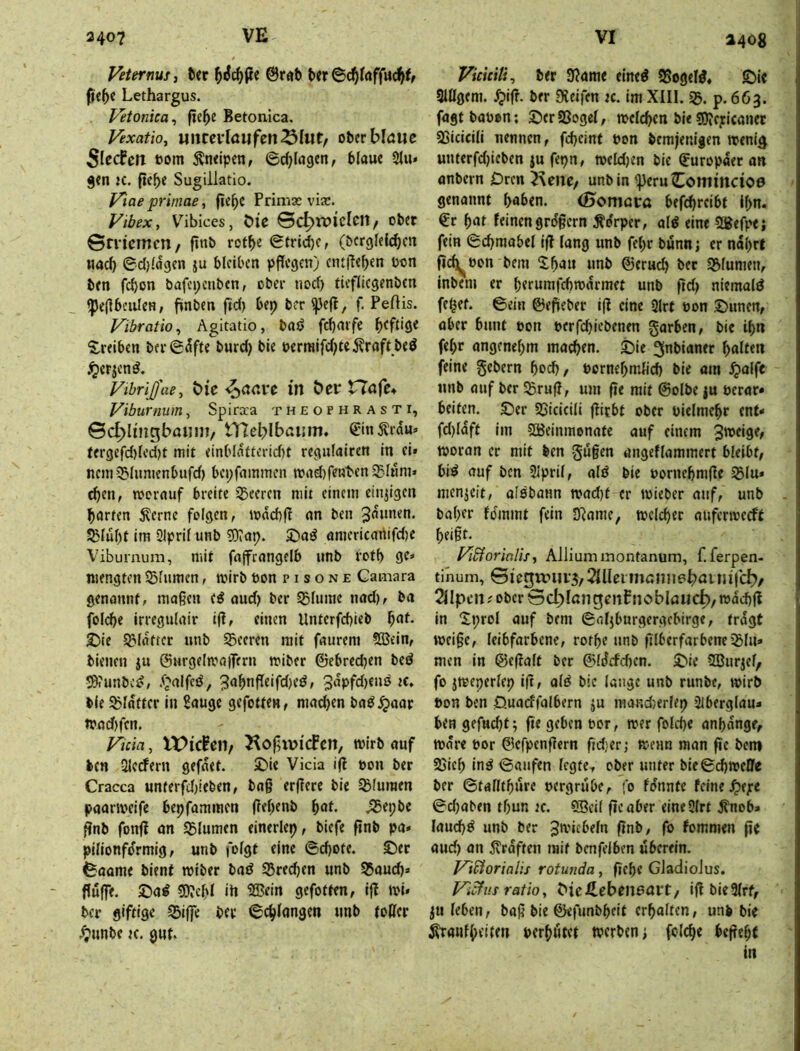 a4<^8 Veternusi t«r @r«b t>« ©(^raffuc^f/ ft<5« Lethargus. Fetonica, fie^e Betonica. Vexatio, »itrcilaufcn^Iut, oberblöUC 5lecfen »om Ämipen, ©rf^Iagen, blaue Slu» jen K. (ie^e Sugillatio. Viaeprimae, fie^C Primae via:. Vibex, V''ibices, C>ie ©c^njiclcii/ ober Striemen/ finb rot^e (gtrid)C, (bcrglelc^cn iiac^ ©djlagen ju bleiben pffegen) cnt|?e()en pon ben feben bafepenben, ober nod) tiefliegenbcn <pe(]beuIeH, finben fid) bep ber ^efl, f. Peftis. Vibratio, Agitatio, baö fd)mfe ^.reiben berS^fte burd) bie perraifdjte Äroft beö ijerjenö. Vibrißae, &ie ^ciaxt in öer rTöfe^ Viburnum, Spiraca theofhrasti, Sc^Iingbaiini/ VHeblbaiim. Sinj^rdu^ tergefd)lcd)t mit <inbldtterid)t regiilairen in ei» ncniQ^lumenbufd) bcpfninmen n?ad)fenben S^lnni» eben, tporauf breite S5eeren mit einem einjigf» barten 5lernc folgen, mdcbf? an ben 3dun«n. Jßlul)t im SIpril unb 9)rap. £)aö ömericartifd)e Viburnum, mit fajfrangelb unb rotb ge» mengten Sfnmen, mirb Pon p i s o n e Gamara genannt, maßen e^ aud) ber SBliime nod), ba folcbe irreguloir i|f, einen Unterfebieb ^at. 3^ie S£ildfter unb ^Beeren mit fourem ?ffiein, bienen ju ©Mrgela'oiTern miber ©ebredjen bed ?0?unbcd, .<‘;'alfed, 3abnfleifd)ed, 3dpfd)eu6 k. ble glatter in Sauge gefotten, mad)en bad.^aar tpad)fen. Ficia, IVichil; J^of^wiePen, mirb auf len Sichern gefdet. £)ie Vicia i(! pon ber Cracca unterfd)ieben, bog ergere bie ^Blumen paarsveife bepfammen gegenb ^at. ^epbe gnb fong an Blumen einerlep, liefe gnb pa» pilionfo'rmig, unb folgt eine ©cbote. SDer feaame bient miber bad 35red)en unb S5aucb» guffe. 35ad S)?cbl ih 9Bein gefotten, ig ivi« ber giftige SBige ber ©cglangen unb toger rt)unbe tc. gut. VicicHi, ber 3?ame eined SSogeld, £)ie SlÖgem. .^ig. ber Steifen tc. im XIII. SB. p. 663. fagt bopon; ©er SSogel, meicben bie ?0?epicanet Sjicicili nennen, febeint Pon bemjenigen wenig unterfd)iebcn ju fepn, weld)en bie Europäer an anbern Dren 5\ene/ unbin ^eruComincioö genannt buben. (Bomarö befebreibt Ign. €r bnt feinen grdgern ^o'rper, ald eine 2gefpe; fein Scbmabel ig lang unb fepr bunn; er ndbrt geb^pon bem 2buu unb ©erueb ber ^Blumen, inbem er btrurafcbtpdrmet unb gd) niemald fe^et. 6ein ©egeber ig eine 2lrt Pon ©unen, aber bunt pon perfebiebenen garben, bie ibn febr angenehm machen, ©ie ^nbianer bulten feine gebern boeb, pornebrnbeb bie am ^alfc unb auf ber Srug, um ge mit ©olbe |U Perar» beiten, ©er SJicicili giebt ober pielmebr ent- fd)ldft im SBeinmonate auf einem 3''>eige, woran er mit feen gugen ongeflommert bleibt, bid auf ben 2ipril, ald bie Pornebmge 23lu* menjeit, oldbann wad)t er ipieber auf, unb baber fdinmt fein Sporne, wclcbec auferwerft beigt. yiStorinlis, Alliummontanum, f. ferpen- tinum, SictjuMirj/^IUeimaniie^ainifd?/ 2llpc!t; ober Scl^IangcnPnoblöUC^, tpdd)g in “iprol auf bem ^oljburgergcbirge, trdgt weige, leibfarbene, rotbe unb glberfarbeneiBlu» men in ©egalf ber ©ldcfd)cn. ©ie 9Biirief, fo jweperlep ig, ald bie lange unb runbe, tpirb Pon ben Öuacffalbern ju maj;d',erlep 2lberglan» ben gefuebf; g« por, wer folcbe anbdnge, tpdre por ©efpengern gdjerj wenn man ge bem 95icb ind ©aufen legte, ober unter bie©d)ipc0e ber ©talltbure pergrube, fo fdnnte feine .^epe ©d)oben tf)un K. SBeil gc aber eine 2lrt Änob» laucbd unb ber gnb, fo fommen gc auch an trogen mit bcnfelben uberein. FiSforialis rotunda, gebe GJadioius. Ficfus ratio, MeÄebeneart, igbie3lrf, leben, bog bie ©efimbbeit erhalten, unfe bie ^ranfbeifen perbötet werben; folcbe begebt in