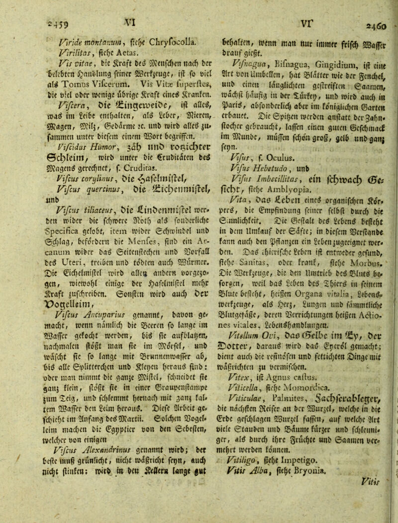 f'lncfe montanum, f:fChryfocolla. lAnlitas, ftcf)C Aetas. FiV Vitae, btc itrflft beö 3)i<»fd)<n twrf) ber ■0<Ic6tcn ffincr 2ßcrfjeuge, i)I fo üicl öl^ Tomus Vifceriim, Vis Vitx luperftes, bie t?icl ober wenige übrige Ärnff «ine^ Ärnnfeii. F'ifcera, Ölc ^£tngclve^^C/ ifl nöc^, waö im Selbe entbaften, nlö Seber, Spieren, 59?agen, ©ebarme k. unb wirb otfeö ^u» fnmmen unter biejem einem 2Bort begriffen. Viß'xdüs Humor^ 3a^ imO vo^ic^tec ©C^lcini/ wirb unter bie Crubitaten beö SOingen^ gerechnet, f. Cruditas. Vifeus corylinur^ t>ic ^nfelmiff'el, Vifcus quercinus, öic ^Jiic^cumi{lcl/ unb Vifcus tUiaceus, t>i'c wer» bett wiber bie fd)were ^yjbtb n?5 fonberlicbe Specifica gelobt, item wiber 0d)winbel unb ©d)lag, befdrbern bie Menfes, pnb ein Ar- canuin wiber bnö ©eiten(ted)cn unb 5Sorfall bed Uteri, treiben unb tobten aud) ©ürrner. 2)ie 0d)eimi(?el wirb (iGfetj nnbern oorgejo» gen, wiewobf einige ber ^afdmi|tel mebr ^raft ^ufebreiben. ©onften wirb oud) Ori* X>ogcUeim, Vifcus Hncuparius genannt, bauen ge» macht, wenn nämlich bie S^eeren fo lange im sBaiTet gefed)t werben, biö fic aufbla^en, i{ad)malen jlo'gt man fie im 0D?drfef, unb wafcht ftc fo lange mit 35r«nnenwa|Rr ab, bi(J alle ©plitterd)cn unb fiepen hftauö ftnb: ober mau nimmt bie gati|e g)iif!e(, fd)ncibet fle ganj flein, üogt fie in einer 0raupentrampe jum 2.eig, unb fd)lemmt htruad) mit ganj taU tem SJafifer ben Seim 3lrbcif ge» fd)lcht im ülnfang betJüOiartii. ©olchen 33ogef» leim madjen bie ^g^pticr uon ben ©cbeften, tveld)cr uon einigen Vfeus Hlexandrinus getiamif^ wirb j ber bejicmug grünlld)t, nid)t waßricht' fepn, «uch nicht (iinfm; tuirb in ben ÄeÄern lange gut 2460 behaften, wenn man nur immer frif^ brauf giegt. Bifnagua, Giiigidiuni, i({ eine Slrt uonUmbeaen, hat iglafter wie ber §enchel, unb einen langlidjten gc(treiften ©aaraen, wachfi häufig in ber Suifep, unb wirb auch in ^ari^, abfonberlich aber im foniglichen ©arten erbauet. SMe ©pi^en werben aniTatt ber ^ahn» (iocher gebraudjt, laficn einen guten @cfd)inacl im3);unbe, mu(fen f^d)on groß, gelb imbgans fepn. Vifus, f. Oculus. Vifas Hebetudo, unb Vifiis Imbecillitas, ein fc^WöC^ (Bif ficbt/ ßef)e Amblyopia. Vta, C*a0 Äcben eine^ organifd^en Ä«Jr* per^, bie ©mpfinbung feiner felbft burd) bie ©imilichfeit, 5Me ©cßalt be^ Sebenö beßeht in bem Umlauf ber ©aftej ln biefem SSerßanbe fann aud) ben ^»ßanjen ein Seben ungeeignet wer» ben. 3])a^ ihierifdje Seben iß entweber gefunb, ßef)C Sanitas, ober franf, ßehe Morbus. £)ie SBerfjeuge, bie ben llmtrieb beö 23lutö be» forgen, weil ba^ Seben be^ ^hicr^ i« reinem Slutebeßt’ht, [)d§en Organa viralia, Sebent^ werfieuge, 0IÖ f?erj, Sungeu unb fammtlid)e Blutgefäße, beren Berrichtungen heißen AcHo- nes vitales, Seben^hanblungen. Vitsllum Ovi, t’aec'^^elbc im fliy, t>ci; iDottci', barau^ wirb ba$5 ©pero'l gemad)t; bient aud) bie reßnefeu unb feftidjten 5)ingemif Waßrid)fcn ju uerrnifchen. Vitexy ißAgmis callus. Viticella, ßehe Moraordiea. Viiiculae, Falmites, SörfMcfcWcffeiV bie nad)ßen Steifer an ber SSur^el, welche in bie €rbe gcfchlagen SBnrjel faßen, auf welche 5(rt uiele ©tauben unb Büume fürjer unb fd)leuni» ger, alö bnrd) ihre giücht« unb ©aainen uer» mehrt werben fdnncn. Vitiligo, ßehe Impetigo. Vitis Alba, ßehe ßryouia. Vitis