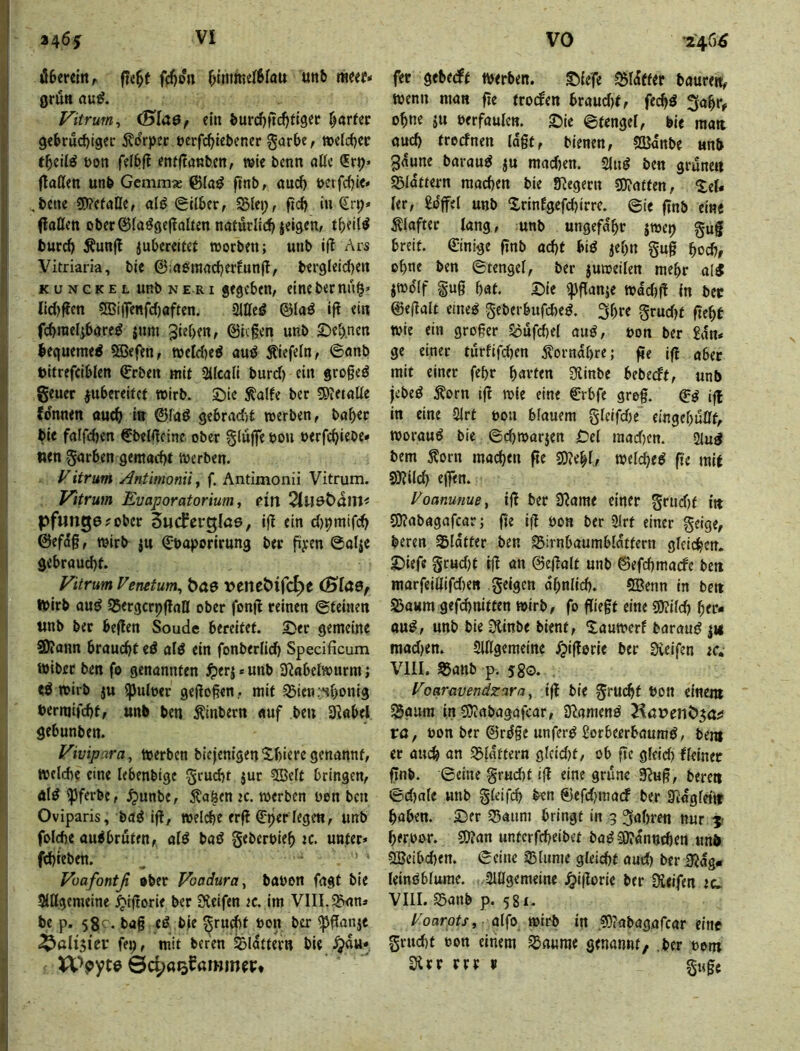 iS6ercinr f?e^t fd)on ^immdSfau unb mut* grün au^. Vitruin^ (Blae, ein burd)|td)tl9«c f^arfec 9<brud)igec Körper terfc^iebener garbe, »dcbec tbcil^ t>on fdbfl mtltanbCR, wie benn aßc ftaöen unb Gemm* ©(aö ftnb, auch bctfcf)le* ,bene 5l?cfalle, alö Silber, SSlei;, ftd) in Srp* (laßen ober@(aöge|laIten naturlie^ieigen, tbeil^ burcf) Äunfl jubereUcf woeben; unb iß Ars Vitriaria, ble @:abraad)ertunß, bergleid)en K u N c K E L unb N E-RI gegcbtR, eine ber nn§» lld)ßen 5Bij]enfc()aften. Slßeö ©laö iß ein fcbraelibare^ jnm 3ieben, ©legen unb S:)ebnen iegueme^ 53Sefen, wcldje^ auö Riefeln, ©anb titrefciblen ©rben mit SUcali burd) ein grogeö geuer ^ubereitet wirb. Sie ^alfe ber ?9?etaÜe Idnnen oud> in ©fad gebradjt werben, ba^ec bie falfdjen Cbelßeine ober gluße bou uerfc^iebe» wen gnrben gemacht werben. Vitrum Anümomi^ f. Antimonii Vitrum. Vitrum Evaporatorium, ein 2tUdt>am< pfunge? ober Sucferglae, Iß ein d)pmif^ ! ©efdg, wirb ju ©boporirung bet ßpen ©alje j gebraucht. Fitrum Fenetum, bae veneÖifc^e (BlaSf Ipirb aud SSergcrpßnß ober fonß reinen ©teinen ! unb ber beßen Soude bereitet. Ser gemeine S^ann braucht ed ald ein fonberlich Specificum Wiber ben fo genannten ^)erj*unb 3^^abe^wurm; I cd wirb ju ipulber geßogen , mit 33ien;^honig bermifcht, unb ben ^inbern «uf ben SRabel gebunben. ! Vivip-ira, Werben biejenigenXbiere genannt, welche eine lebenbigc grucht jur 5ßelt bringen, äld ipferbe, ^unbe, 5?a&en k. werben ben ben Oviparis, bad iß, welche erß €per legen, unb fol(he audbruten, ald bad geberbieh ic. unter» fchteben. Voafontß »ber Voadura, babon fagt bie Slßgemeine ^ißorie ber Steifen ic. im VIII. 5&an» be p. 5gc. tag ed b|e ^rucht bon ber ^ßanje ^ali$ier fep, mit beren SBldttern bie ^u» fer gebeeft werben. Slefe ^Idtter baurert, wenn man fie troden braud)f, fechd ^ahr^ ohne ju berfaulen. Sie ©tengel, bie matt auch treefnen lagt, bienen, SBdnbe unb 3dune baraud ju mad)en. Sind ben grüne« S5Iattern machen bie Siegern ?0?atten, lef* ler, Toffel unb Srinfgefd)irre. ©ie ßnb eine 0after lang, unb ungefähr jwep gug breit. €inige ßnb acht bid jehn gug hoch, ohne ben ©tengel, ber juweilen mehr ald jwolf gug hat. Sie ipßanje wad;ß ln bec ©eßalt eined geberbufd)ed. 3i)tt grud)f geht wie ein großer ^üfchel aud, bon ber kn» ge einer türfifdjen ^?ornahre; ße Iß aber mit einer fehr havfen 3linbe bebeeft, unb jebed Äorn tß wie eine ©rbfe greg. ©d iß in eine Slrt bon blauem gleifdje eingehußt, woraud bie ©(^warjen Del mad)en. Slud bem j^orn machen ße sOJehl, welched ße mit 0)?ilch ejfen* Foanunue, iß ber 9?ame einer grud)t i« SOJabagafear; ße iß bon ber Üirt einer geige, beren Sblatfer ben S5irnbaumblattern gleichen. Siefe grud)t iß an ©eßalt unb ©efchraarfc ben marfeißifd)en geigen ähnlich. 5ßenn in be« S3aum gefchnitten wirb, fo ßiegt eine mid) her- aud, unb bie DUnbe bient, Sauwerf baraud |ic mad}en. Slßgemeine fjißerie ber Sieifen tc» VIII. S5anb p. 5go. , Foanxvendzaray iß ble gruchf bott einem S$gum in SJiubagafcar, Slamend xa, bon ber ©rdge unferd Üorbeerbaumd, bem er auch an S^lattern glcid)t, ob ße gleid) ffeiner ßnb. ©eine grud)t iß eine grüne Slug, bereu ©d)ale unb gleifch ben ©efdjmad ber S^agfeitf haben. Ser 55aum bringt in 9 gahre« nur 5.’ herbor. SÄan unterfrheibet bad SITönnchen unb SBeibchen. ©eine SSlume gleiä)t aud) ber diagm leindbfurae. Slßgemeine Jjißorie ber Dicifen tc. VIII. Sanb p. 58i- Foarotf, alfo wirb in .0)?abagafcar eine grucht bon einem 55a«me genannt, .ber bom 3ltt rrt t guge