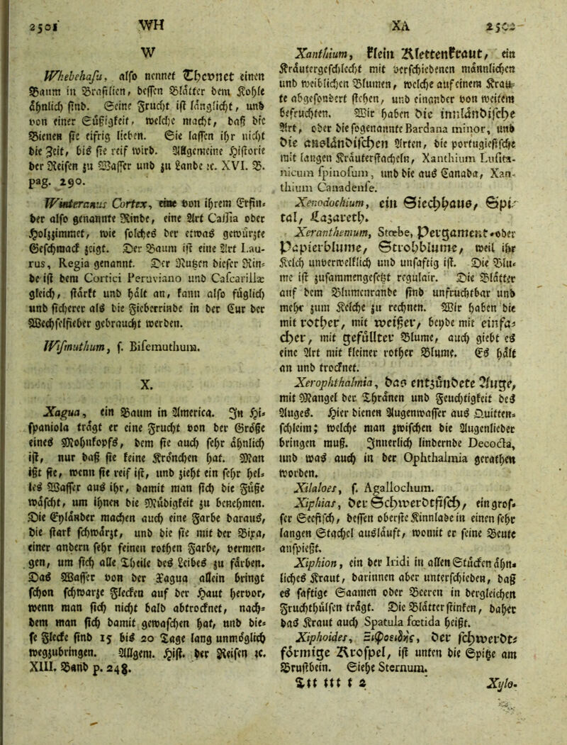 2 501 WH W Wkehchaßi, fllfo nennet Ctjcvnct einen Sßrtiim in ^rnfiHcn/ bc|]cn glatter bein j?o^(e ^^nlicf) f?nb. 0eine i|^ Inngfic^f, unb i'on einer 0ü§i3feit- n>eld)c matfjt, bn^ bfc SBienen |Ie eifrig lieben. 0ie loffcn if;r nicl)t bie 3«it, biö fle reif wirb. SIEgcmeine ijiftorie ber Steifen ju 2Ba(fer unb ju ganbe jc. XVI. pag. 290. WütteTanus Cortex, eiac ton i^rem 0:fin. ber oifo genonnfe Svinbe, eine SIrt Caifia ober J^oljjimmet, wie fofe^eö ber etmnö gcwurjfe ©efc^raad jeigf. S5er Sgauni ifr eine 5lrt Lau- rus, Regia genannt. S^cr Stufeen biefer Siin^ bC'i|l bera Cortici Peruviano unb Cafcarilla: gleid)/ flarft unb ^dlt an, fann olfo fuglid) unb fid)crer al^ bie gicberrinbe in ber €ur ber SBec^felfieber gebrnuc^t werben. IVifmut/ium f f. Bifemuthum. X. Xagua, ein S5mtm in 3lmericg. 3« fpaniola tragt er eine gruc^t eon ber @rd§e eineö 9}ioI>nfopfö, bem fte nud) fe^r d^nlid) Ijl, nur brtg fie feine Ärdnd)en f;at. ^an i§t fte, wenn fte reif iß, unb jie^t ein fe^r ^el» le^ ?Baffer auö ibr, bömit man fid) bie gu§e wdfd)t, um ihnen bie SKubigfeit ju benehmen, ^ie (^pldnber mochen auch eine garbe barmuJ, öie (tart fchwdrjt, unb bie fte mit ber 33iya, einer anbern fehr feinen rothen gorbe, nermen» gen, um ftch aße Xheile be^ 2eibe^ ju färben, ©aö SBaflTer öon ber 3cagua allein bringt fchon fchwarje glecfen auf ber ^aut httbor, wenn man ftch nicht halb abtrodnet, nach* hem man ftch bamit gewafdjen ^at, unb bie* fe glecfe ftnb 15 bi^ 20 Xage lang unmöglich wegjubringen. Siagem. .^if?. her Steifen tc. XllI, $nnb p. 24§. XA 25^- Xanthium, Hciit KfettenPcdUt, ein Ärdufergcfd)lcd>t mit bcrfchiebenen männlichen unb wciblid)cn Blumen, welche auf einem Ärau? te abgefonbert flehen, unb einanber öon weitem befruchten. 20ir haben ^ic innldnbifcl^e ?lrt, ober bie fogenanntc Bardana minor, unb öie öHeldnölfcbcn Sitten, bie portugieftfdK mit laugen 5?rduteri?acheln, Xanthium Lufits- nicum fpiiiofuai, unb bie aud (Eanaba, X?.n- ihium Caiiadenfe. Xenodochium, eilt 0icC^^aU6/ 0pL'' töl, Hasai'cth. Xeranthemum, Stoebe, Pcvg(Uttcnt*ober papierblume/ 0tiol;blmnc, weil ihr Äetch unperwelflich unb unfaftig ijt. S)ie '^lu* me tfl jufammengefefef regnlair. Xiie 5?ldffer onf bem 55lnmcnranbe finb unfruchtbar unb mehr jum ^cldfe |u rechnen. 5Bir hoben bte mitvothcF, mit bci;be mit cinfa^ c^cr, mit gefüllter Slume, auch 9'ebt eä eine ärt mit Heiner rofher 95lHme. h^^^ an unb frodnet. Xerophthahnia ^ böP cnt5uubete Ofuge^ mit ?9?angel bet Xhrdnen unb geitd}tigfett be3 Singet, .^ier bienen Slugenwaffer auö D-uitten* fd)lcim; welche man jwifchen bie Slugcnlicbcr bringen mug. linbernbe Decoda, tmb wa^ auch in ber Ophthalmia gcrathett worben. XilaloeSy f. Agallochum. Xiphiaty 6er 0cf>u>erötfifc^/ eingrof» fer 0eeftfd), beffen obcrfte^innlabein einen fehr langen 0tad;cl awläuft, womit et feine S^cufc anfpiegf, Xiphion, ein ber Iridi in affen 0tucfendhn* li(^eö j?raut, barinnen aber untcrfchicben, bag cö faftige ©aamen ober S3cereu in berglciehen gruchfhülfen trdgt. Sic S5ldtterftinfcn, bahec bad 5?raut aud) Spatula foetida heigt. Xiphoidesy 5t(Poet3>)V, ber fc^ivprÖt^ fdrmtgc 2^rofpeI, tg unten bie ©pige am SJrugbein. ©iehe Sternum. %tt tu t Z * Xy/o.