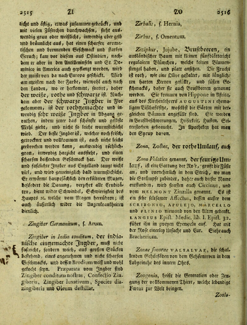 CiV 35if unb djilg, juförnnwi gebrucft, «nb niif uiefcti ^dferdjen burrfjroöcOfett, fie^)f aui» luenbig gröu ober weipd)t, iuircnblg cbcrgelb unb brdunlid)f auö, «n<n fc^arfcu «rcma* tifc^cn unb bi’ennenbfii ©efcbmncf unb (?nTfcn ©i’rud)j fam bor bi«f«m fluti jD^inbicn, nncb» bem er aber in bcn SlneiUcninfefn unb 0t. So* nifnico in SImerita aud) geppnnjt tvorbcn, wirb bcr nieijte bcn ba nad) (Europa gefd)icft. 5ßirb «m meiflen nod) bcr Jarbc, wiewobt aud) nad) ben £anben, wo er berfonuut, fortirt, bat)cr öcr lücifje, voebe unb fcl^ivar^e ifl. 3Md)* bem aber öei* fc^tranc ^ng^ev in gfor getommen, i(t bei* vot^gemac^te unb iw wenbig fe^i* ir>ei0e ‘Jngbei* in Slbgan^ ge* rattjen, inbeni jener baö fd)dn(!e unb gelbfle 5ScbI gtebt, unb nid)t fo feidjt wurrnfticbic^t ipirb. Ser bejie 3ugberi|l, weteber noi^ frifd), getroefnet unb pollfomraen it^, aud) nid>t (eid)l jcrbrocbeu werben faun, atiöwcnbig rdt^fitb» grau, inweobig auöfiebtf uttb einen fd>arfen beigenben ß5efd)mo(f f)au Ser weige «nb fafdief)te 3ugber aiiö (^ngellanb taugt nicht vief, imb wirb geineinigtid) balb wurnigidMd)t. erwärmt bauptfdd)Iid) ben erfdlteten «Stagen, tefdrbert bie Sauung/ berjehrt alte ^rubitd* ten, bient wiber 0d)WinbeI, 0d)wierigfeit bed j^aaptö 2C. wetd)e uom ^Otagen berrübren j ig öueh dugerlich wiber bie SlugcnIraHfhdteo dienlich. '• . Zingiber Germankum ^ f. Arum, Zhtgiber in India tonditim, t>ei* ' nifebe cingoiiacbtc Jngbei*, mug nicht fafcrid)t, fonbern weid), auö grogen 0turfeu ivegehenb, eineö angenehmen unb nicht fcharfeu ©efehmaefö, unb begln Brodium weig unb wofjl getod)t fepn. Preeparata Pom Zingiber condituni noftras, Confedhio Zin- giberis, Zingiber luxativum, Species dia- zingiberis «nb Okum deftillat. ZrbaUs, f. Hernia, Zirhus^ f. OmentuuT. Zhiphut, Jujube, ^vufrbccven, ein au^ldnbifcher SSaum mit fteinen funfhtdftcrtchf regutairen ^lumcheB, wetdje feinen S^tumen* genget haben, unb platt anfji^en. Sie grucht igroth, wie eine DtiüC gegattet, mit länglich; ten h^Jtftn fernen gefügt, «nb fugen 0c» fchmadö/ baher ge aud) 55rugbeeren genannt werben. 0ie fomincn pon Hippone in ?lfrica, auö be? 5vird)enlehrerd a u g u s t i n i ehema* tigern 55ifd)of^g$e, wofetbg bie 0drten mit ber* gletd?en Räumen angeful/t gnb. 0te werben in55rngbefd)Werimgcn, ^eiferfeif, ^ugen, ©ei» tenged^n gebraud)t. 3*' Slpothefc« hat man bcn 0prup ba'wn. Zona, Zofter, ber tot^ellmlöwf, auch ZonaVoktka genannt, berfeurtgellut; löJlf, ig einc0aftung ber 2?o c, greift bieguge an, unb Pornehmtid) in bem0trich, wo man bte 0trdmpfe jnhinbet, baheraudj bicfcr Siame entganben, wirb fongen mich Ciicinus, unb Pom HEL MO NT Ziiizilla gcnamu. ig ein ghr feltfamer Affedtus, begin «uger bem SCRIBONIO, APULEJO, MARCELLO unb p L j N I o nieuianb Pon ben SUten gebenft. L AN G I u s EpiA. Medic. lib. I. EpiA. 32. fuhrt if)ii in ^wepen 0rera-peIn auf. ^at mit ber Sfofe einertep Urfache unb Sur. ©ieheauch Brachen um. Zonae fonorae v a l s a i v a e , bie fdiaU lenben 0chorfdbenpon bem ©ehdmerPen in bem £abprimhe beö innern Shr^. Zoogonia, heigt bie ©enerafion ober 3eu* gung bcr poIIfcmmenen'Shittt/ wcld;e Icbenbige Foetus jur 2BeIt bringen. Zook-