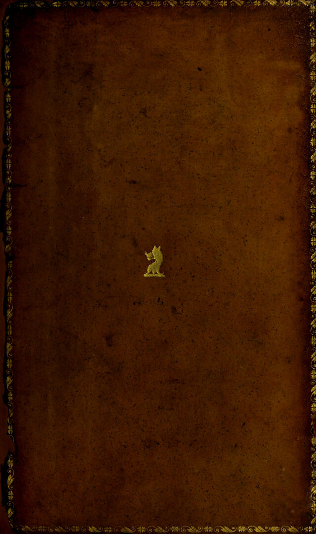 No text description is available for this image