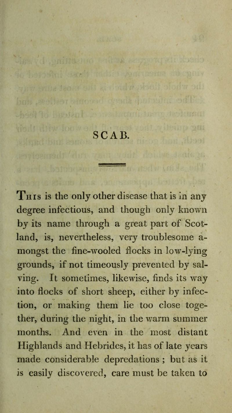 I SCAB. This is the only other disease that is in any degree infectious, and though only known by its name through a great part of Scot- land, is, nevertheless, very troublesome a- mongst the fine-wooled flocks in low-lying grounds, if not timeously prevented by sal- ving. It sometimes, likewise, finds its way > into flocks of short sheep, either by infec- tion, or making them lie too close toge- ther, during the night, in the warm summer months. And even in the most distant Highlands and Hebrides, it has of late years made considerable depredations ; but as it is easilv discovered, care must be taken to