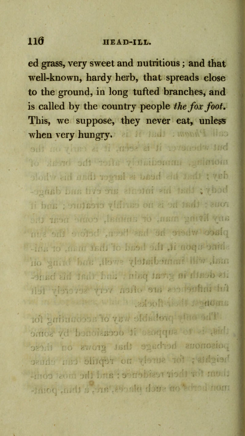 ed grass, very sweet and nutritious; and that well-known, hardy herb, that spreads close to the ground, in long tufted branches, and is called by the country people the fox foot. This, we suppose, they never eat, unless when very hungry. • - t . ; I / i . 4 . . r . i • ; . . A . / i _ ij’ ■ . . ' . ^ ’ ‘ S ^ ' I i. ■' I < » f ’ . ' • • * • ‘ ^ • ' ' .» .; I If f> 1 , ...A 1'' • ^ . - • ■ . . ' . : » I. i! i . > ‘ 1 . 1 V-' V t 1 1 ■ •. V .. .1*' ri- U V 1 ' r* •tl . [ i « 1 J /» i )i > I . O r . / i Y .. .ji » V l . , i ‘r'i ■ • »' f U( iOi '.(ri .ii ’ 'h) Vi; / i ■ 1 ' 7 ' !» , Ji u 1 VO :-;v- K » -i i } Olil'T/l V •1 r 1 I ')’l] i 'if- : j r ^ f '