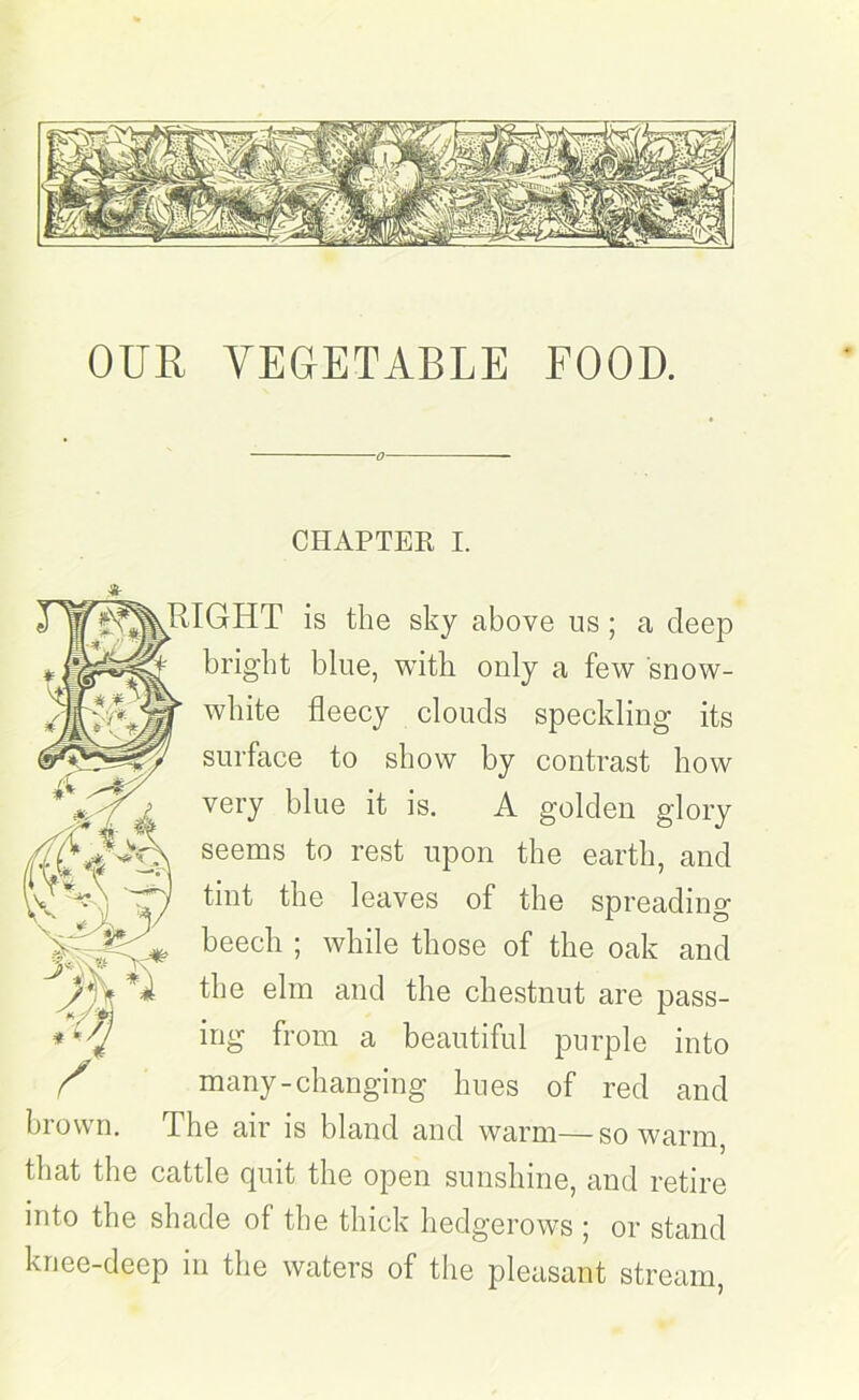 OUR VEGETABLE FOOD. CHAPTER I. .RIGHT is the sky above us; a deep bright blue, with only a few snow- white fleecy clouds speckling its surface to show by contrast how very blue it is. A golden glory seems to rest upon the earth, and tint the leaves of the spreading beech ; while those of the oak and the elm and the chestnut are pass- ing from a beautiful purple into many-changing hues of red and brown. The air is bland and warm—so warm, that the cattle pint the open sunshine, and retire into the shade of the thick hedgerows ; or stand knee-deep in the waters of the pleasant stream,