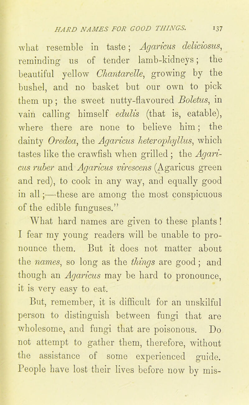 what resemble in taste; Agaricus deliciosus, reminding us of tender lamb-kidneys; the beautiful yellow Chantarelle, growing by the bushel, and no basket but our own to pick them up ; the sweet nutty-flavoured Boletus, in vain calling himself edulis (that is, eatable), where there are none to believe him; the dainty Oredea, the Agaricus lieterophyllus, which tastes like the crawfish when grilled ; the Agari- cus ruber and Agaricus virescens (Agaricus green and red), to cook in any way, and equally good in all;—these are among the most conspicuous of the edible funguses.” What hard names are given to these plants! I fear my young readers will be unable to pro- nounce them. But it does not matter about the names, so long as the things are good; and though an Agaricus may be hard to pronounce, it is very easy to eat. But, remember, it is difficult for an unskilful person to distinguish between fungi that are wholesome, and fungi that are poisonous. Do not attempt to gather them, therefore, without the assistance of some experienced guide. People have lost their lives before now by mis-