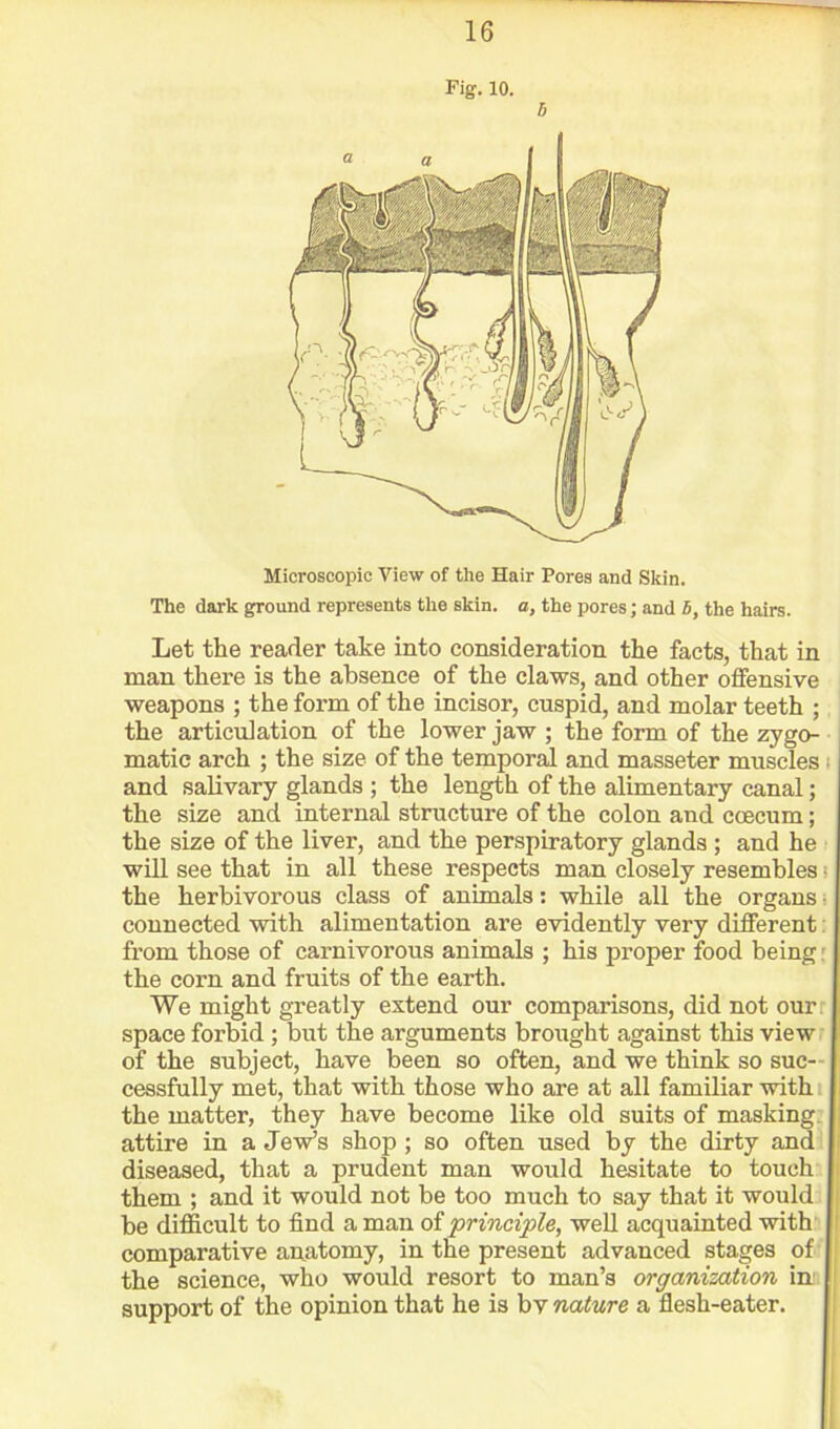 Fig. 10. Microscopic View of the Hair Pores and Skin. The dark ground represents the skin, a, the pores; and 5, the hairs. Let the reader take into consideration the facts, that in man there is the absence of the claws, and other offensive weapons ; the form of the incisor, cuspid, and molar teeth ; the articulation of the lower jaw ; the form of the zygo- matic arch ; the size of the temporal and masseter muscles i and salivary glands ; the length of the alimentary canal; the size and internal structure of the colon and coecum; the size of the liver, and the perspiratory glands ; and he will see that in all these respects man closely resembles! the herbivorous class of animals: while all the organs i connected with alimentation are evidently very different: from those of carnivorous animals ; his proper food being' the corn and fruits of the earth. We might greatly extend our comparisons, did not our. space forbid ; but the arguments brought against this view of the subject, have been so often, and we think so suc- cessfully met, that with those who are at all familiar withi the matter, they have become like old suits of masking, attire in a Jew’s shop ; so often used by the dirty and diseased, that a prudent man would hesitate to touch them ; and it would not be too much to say that it would be difficult to find a man of 'principle, well acquainted with ! comparative anatomy, in the present advanced stages of ; the science, who would resort to man’s organization in i support of the opinion that he is bv nature a flesh-eater.