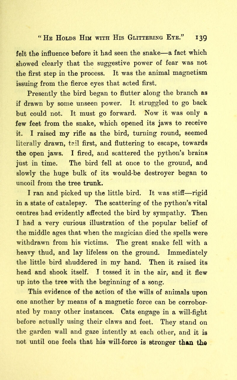 felt the influence before it had seen the snake—a fact which showed clearly that the suggestive power of fear was not the first step in the process. It was the animal magnetism issuing from the fierce eyes that acted first. Presently the bird began to flutter along the branch as if drawn by some unseen power. It struggled to go back but could not. It must go forward. Now it was only a few feet from the snake, which opened its jaws to receive it. I raised my rifle as the bird, turning round, seemed literally drawn, tail first, and fluttering to escape, towards the open jaws. I fired, and scattered the python’s brains just in time. The bird fell at once to the ground, and slowly the huge bulk of its would-be destroyer began to uncoil from the tree trunk. I ran and picked up the little bird. It wras stiff—rigid in a state of catalepsy. The scattering of the python’s vital centres had evidently affected the bird by sympathy. Then I had a very curious illustration of the popular belief of the middle ages that when the magician died the spells were withdrawn from his victims. The great snake fell with a heavy thud, and lay lifeless on the ground. Immediately the little bird shuddered in my hand. Then it raised its head and shook itself. I tossed it in the air, and it flew up into the tree with the beginning of a song. This evidence of the action of the wills of animals upon one another by means of a magnetic force can be corrobor- ated by many other instances. Cats engage in a will-fight before actually using their claws and feet. They stand on the garden wall and gaze intently at each other, and it is not until one feels that his will-force is stronger than the