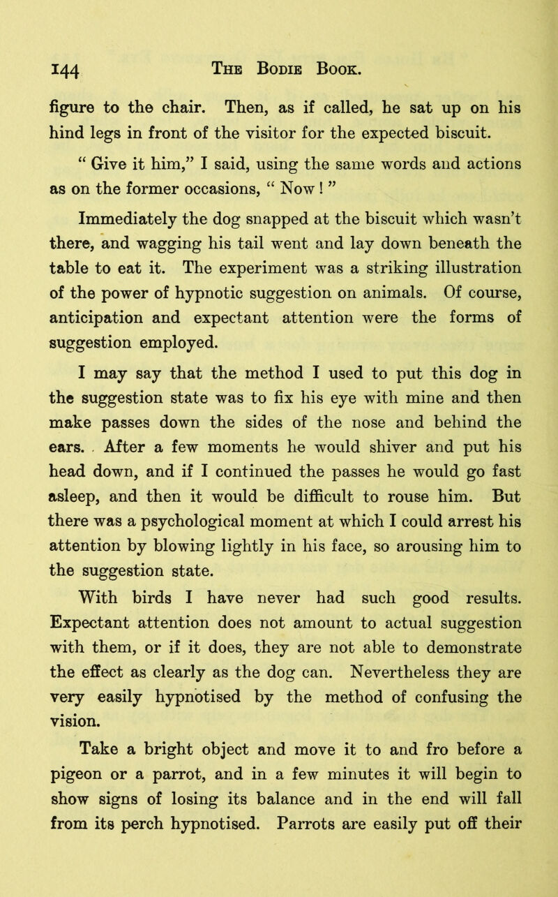 figure to the chair. Then, as if called, he sat up on his hind legs in front of the visitor for the expected biscuit. “ Give it him,” I said, using the same words and actions as on the former occasions, “ Now ! ” Immediately the dog snapped at the biscuit which wasn’t there, and wagging his tail went and lay down beneath the table to eat it. The experiment was a striking illustration of the power of hypnotic suggestion on animals. Of course, anticipation and expectant attention were the forms of suggestion employed. I may say that the method I used to put this dog in the suggestion state was to fix his eye with mine and then make passes down the sides of the nose and behind the ears. . After a few moments he would shiver and put his head down, and if I continued the passes he would go fast asleep, and then it would be difficult to rouse him. But there was a psychological moment at which I could arrest his attention by blowing lightly in his face, so arousing him to the suggestion state. With birds I have never had such good results. Expectant attention does not amount to actual suggestion with them, or if it does, they are not able to demonstrate the effect as clearly as the dog can. Nevertheless they are very easily hypnotised by the method of confusing the vision. Take a bright object arid move it to and fro before a pigeon or a parrot, and in a few minutes it will begin to show signs of losing its balance and in the end will fall from its perch hypnotised. Parrots are easily put off their