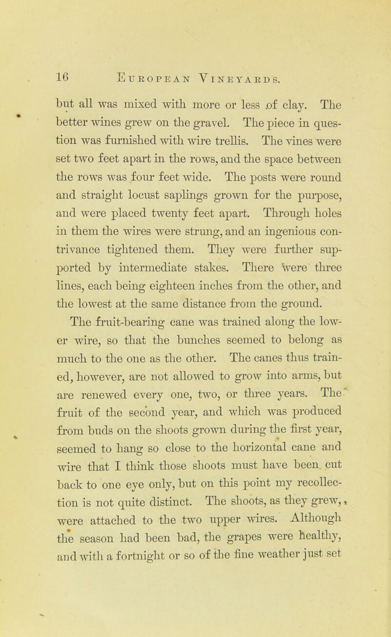 but all was mixed with more or less .of clay. The better wines grew on the gravel. The piece in ques- tion was fm-nished with wire trellis. The vines were set two feet apart m the rows, and the space between the rows Avas four feet wide. The posts were round and straight locust saplings grown for the purpose, and were placed twenty feet apart. Through holes in them the wires were strung, and an ingenious con- trivance tightened them. They were further sup- ported by intermediate stakes. There were three lines, each being eighteen inches from the other, and the lowest at the same distance from the ground. The fruit-bearing cane was trained along the low- er wire, so that the bunches seemed to belong as much to the one as the other. The canes thus train- ed, however, are not allowed to grow into arms, but are renewed every one, two, or tlmee years. The fi’uit of the second year, and which was produced from buds on the shoots grown during the first year, seemed to hang so close to the horizontal cane and wire that I think those shoots must have been, cut back to one eye only, but on tins point my recollec- tion is not quite distinct. The shoots, as they grew, t were attached to the two upper wires. Although the season had been bad, the grapes were healthy, and with a fortnight or so of the fine weather just set