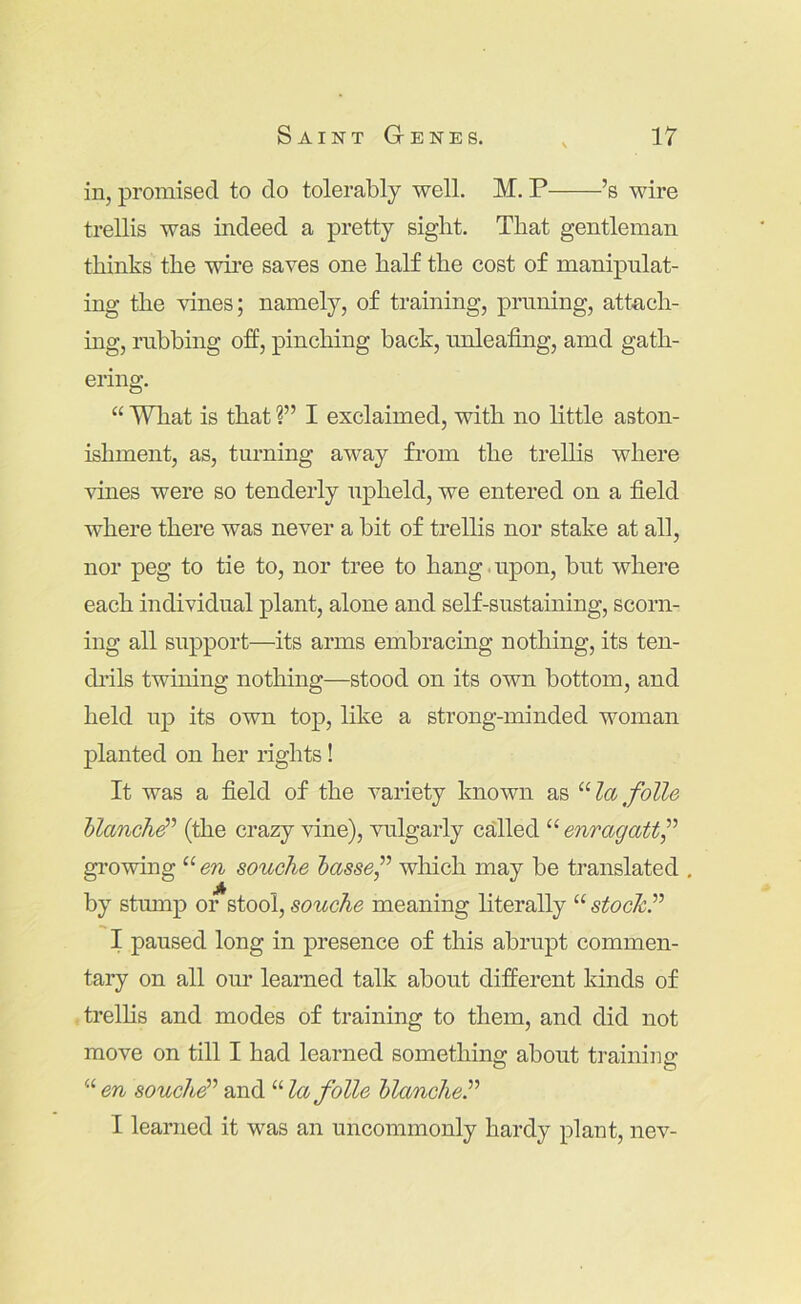 in, promised to do tolerably well. M. P ’s wire trellis was indeed a pretty sight. That gentleman thinks the wii’e saves one half the cost of manipulat- ing the vines; namely, of training, priming, attach- ing, rubbing off, pinching back, nnleafing, amd gath- ering. “ Wliat is that ?” I exclaimed, with no little aston- ishment, as, turning away from the trellis where vmes were so tenderly upheld, we entered on a field where there was never a bit of trellis nor stake at all, nor peg to tie to, nor tree to hang.upon, but where each individual plant, alone and self-sustaining, scorn- ing all support—its arms embracing nothing, its ten- dials twining nothing—stood on its own bottom, and held uj) its own top, like a strong-minded woman planted on her rights! It was a field of the variety known as folle hlanch^^ (the crazy vine), vulgarly called “ enragatt^’’ growing “ en souohe hasse^^ which may be translated . by stmnp or stool, souche meaning literally “ stochP I paused long in presence of this abrupt commen- tary on all our learned talk about different kinds of trelhs and modes of training to them, and did not move on till I had learned somethine; about trainiuir “ en souch^’’ and “ la folle hlanclieP