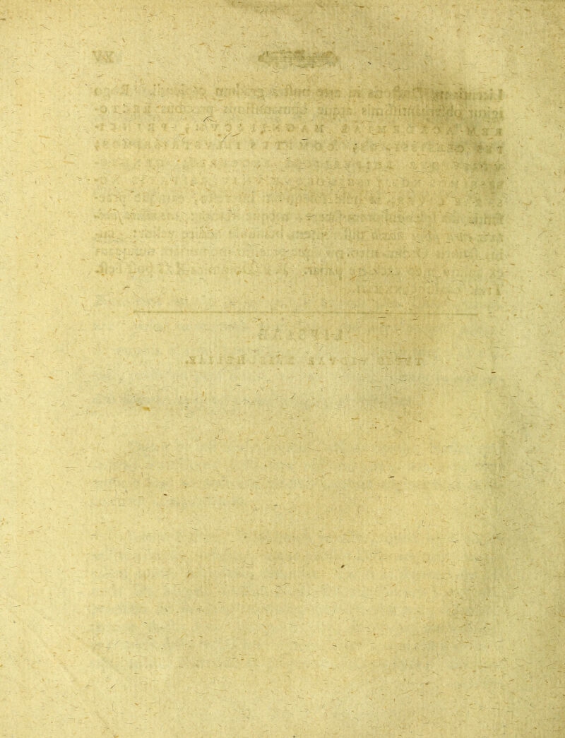 < ' - f i r. > T- '. X . J r. r fit •• ■ ’'' «:7<I A? , ■•'i.;.:--. ■ - ,. . 7 v i $ ’X~M - :v;\ f Z '->7 - 4i V-''::>■< >•' /Uf 1 v-.' K ;v i i ’ V.. •~V »' * / i;.,'.-'