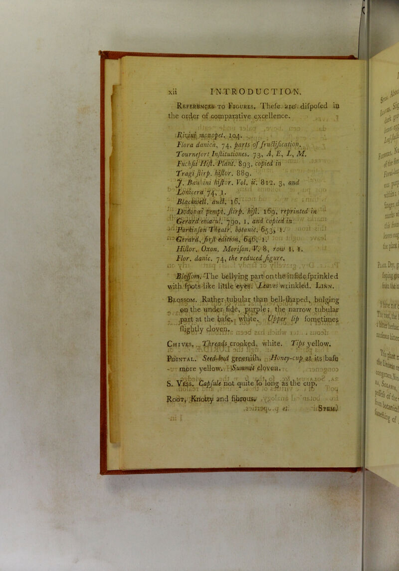 - TO Fdgures, Thefe. aroJ; difpofed iij the orc^r of compai;ativev,^xc,ellence. j sbfj:; -xaljjq ,o\n(h iiao . . ,*_b iRi^tfV^.mnp^et. .104._ ,'j., ,.  - . -.‘i Flora danic 'a^ yq, ^arts ojJruBiJicalloj\_, Fournejort Injlitutioncs. yg, £, i, M. Fuchfii^Hijt. Hflh'??893, copied in TragiJiirp. hiflor. 8Bg. ‘r ' ' - ~''^yl'‘Bail/iini hijtor, Vol, m; 812, 3, and ^ i.rr ; ;jo - ;nin^ ./ ^^^''DPACnoei 'fernpi.Jiirp. l6g, rtprinted'id^^’-^ l, and'copiedin '^^'^ t'hna: ■^^^^‘F^r^kinJenTHpaty. bolaniCi'S^^^-Ti/' nidi ^^^GiT^yd,JirJt'ikikt6n'^^ 'ion jdgu. 'jv^si Hi/tor., Oxon. Morijon.-Vi^ ^, row i . i, ' h Flor. danic, y4, the reduced Jigurc. ac yh' nsq - .'.iiybncl lo Yhov^fg jV'CJ ‘lB/^om< *The bellying part on the ikifido^fprlnkled with.'fpots-like Ifttie'eyte^V \/.^Sv<?i wrinkled. Linn. BLqg,?pM. Rathgrjtn^ul_a5^th^n^bellj-^^apedv^.bulg^ng „ ^ on the unden fid^, purole;, tlfie narrow tubular ^v^Ll. u. ■ • . L-Jii- f f'hJ*/L3*- V y , nj.j.' , digh'^y no^d 2£ri xbidw i jj . a auool; Chives. ^Xl^rmcis cropked^ white, yellow, i'- , '• mU 3ui flpn. :ij. PdiNTAL. Setd^lmd n -U'more yellow.YtiSu®^/ clovennc ,..i3n3gnoD _ ,P;ib3lv^ ,,,3ib /r d Gxij, ol ,05^^. MU’-lAJod .AT- S- Ve$s. (lapfule not quitedo long as the cup, .v. irioiEST : n ,2r , .* Ai d3 ;o 2dT.rrnv .. . :h Poq RodT*-:^c^ty and fibjpiiSy ,ysolEnG b-'aEioci' o-ti ,2olli3qo.q en ’uSTaM^ ;ii !■