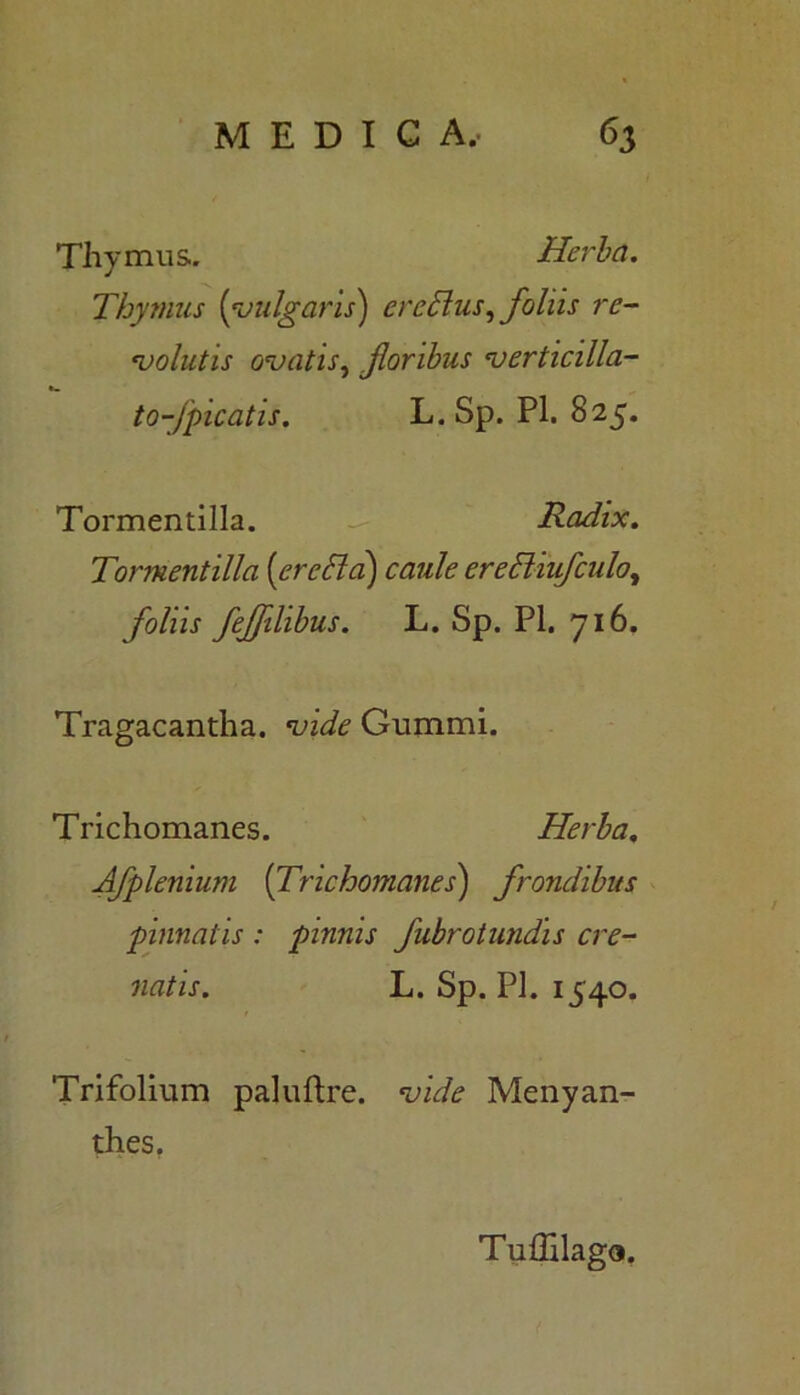 Thymus. Herba. Thyinus (vulgaris) crcdlus, foliis re- volutis ovatis, foribus verticilla- to-fpicatis. L.Sp. Pl. 825. Tormentilla. Radix. Tormentilla [eredici) caule eredliufculo, /o/zzj- fejfilibus. L. Sp. Pl. 716. Tragacantha, vide Gummi. Trichomanes. Herba, Afplenium (Trichomanes) frondibus pinnatis : pinnis fubrotundis cre- natis. L. Sp. Pl. 1540. Trifolium paluftre. vide Menyan- thes. Tuhilago.