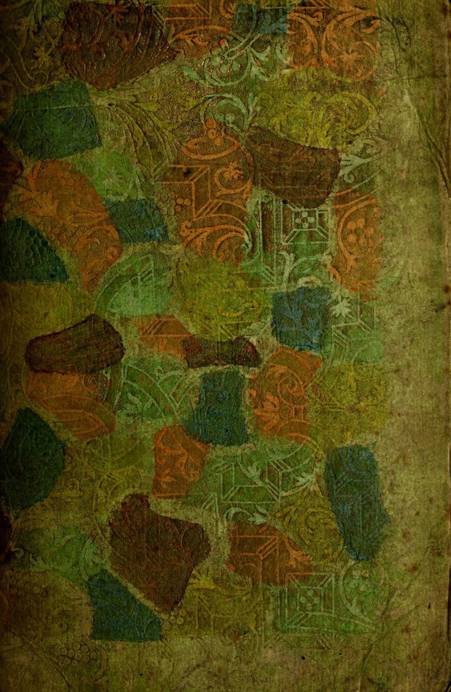 digitised image 1