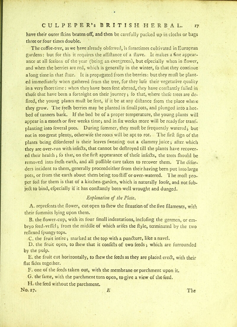 have their outer Heins beaten off, and then be carefully packed up in cloths or bags three or four times double. The coffee-tree, as we have already obferved, is fometimes cultivated in European gardens: but for this it requires the affiftance of a flove. It makes a fine appear- ance at all feafons of the year (being an evergreen), but efpecially when in Sower, and when the berries are red, which is generally in the winter, fo that they continue a long time in that Hate. It is propagated from the berries: but they muH be plant- ed immediately when gathered from the tree, for they lofe their vegetative quality in a very fhort time : when they have beenfent abroad, they have conftantly failed in thofe that have been a fortnight on their journey •, fo that, where thefe trees are de- fired, the young plants muft be fent, if it be at any diHance from the place where they grown The frefh berries may be planted in fmallpots, and plunged into a hot- bed of tanners bark. If the bed be of a proper temperature, the young plants will appear in a month or five weeks time; and in fix weeks more will be ready for tranf- planting into feveral pots. During fummer, they muft be frequently watered; but not in too great plenty, otherwife the roots will be apt to rot. The firft fign of the plants being difordered is their leaves fweating out a clammy juice; after which they are over-run with infeffs, that cannot be deftroyed till the plants have recover- ed their health ; fo that, on the firft appearance of thefe infedts, the trees fhould be removed into frefh earth, and all poffible care taken to recover them. The difor- ders incident to them, generally proceedeitber from their having been put into large pots, or from the earth about them being too ftiff or over-watered. The moft pro- per foil for them is that of a kitchen-garden, which is naturally loofe, and notfub- jedt to bind, efpecially if it has conftantly been well wrought and dunged. Explanation of the Plate. A. reprefents the flower, cut open to fhew the fltuationof the five filaments, with their fummits lying upon them. B. the flower-cup, with its four fmall indentations, inclofing the germen, or em- bryo feed-veflfcl; from the middle of which arifes the ftyle, terminated by the two reflexed fpungy tops. C. the fruit intire ; marked at the top with a pundture, like a navel. D. the fruit open, to fhew that it confifts of two feeds; which are furrounded by the pulp. E. the fruit cut horizontally, to fhew the feeds as they are placed eredt, with their flat fides together. F. one of the feeds taken out, with the membrane or parchment upon it. G. the fame, with the parchment torn open, to give a view of the feed. H. the feed without the parchment. No. 27. E The