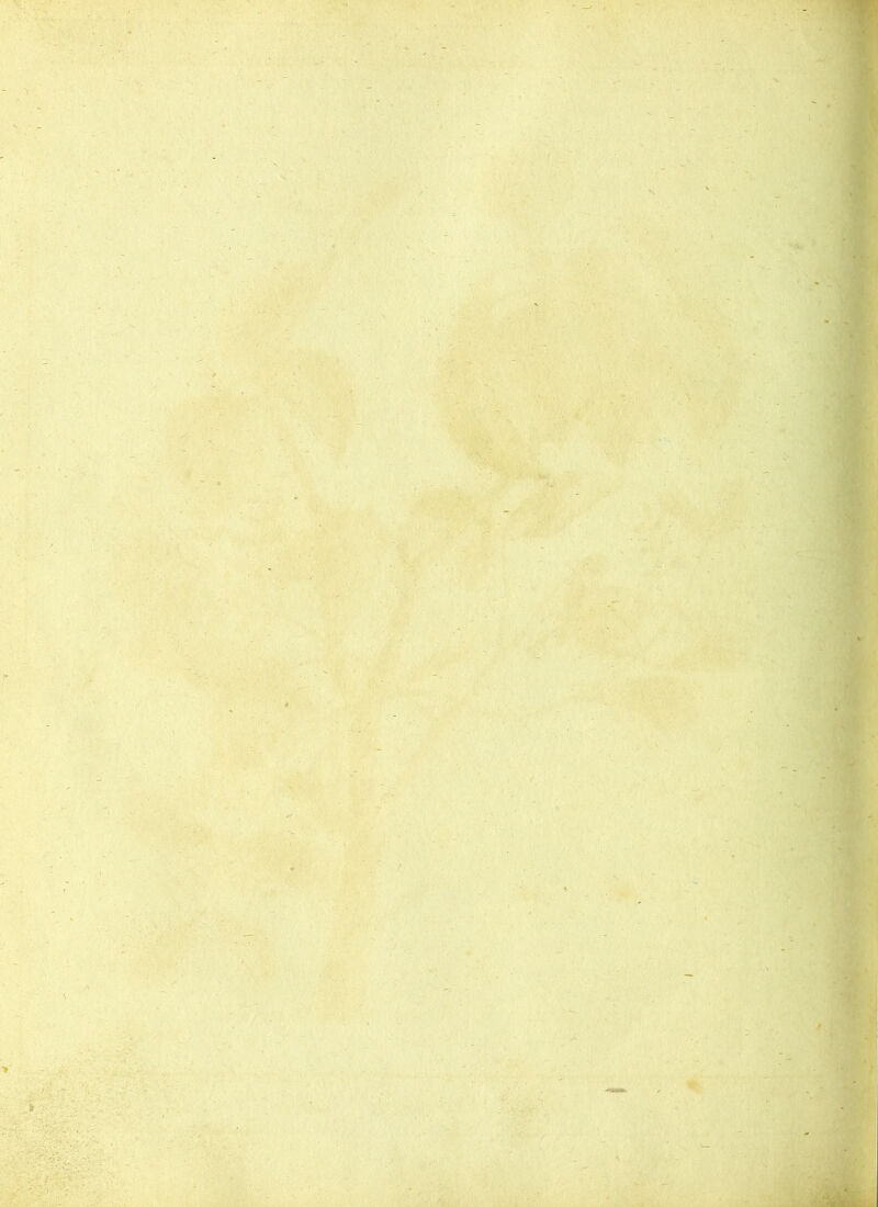 I . . A #; ' ■ % r.