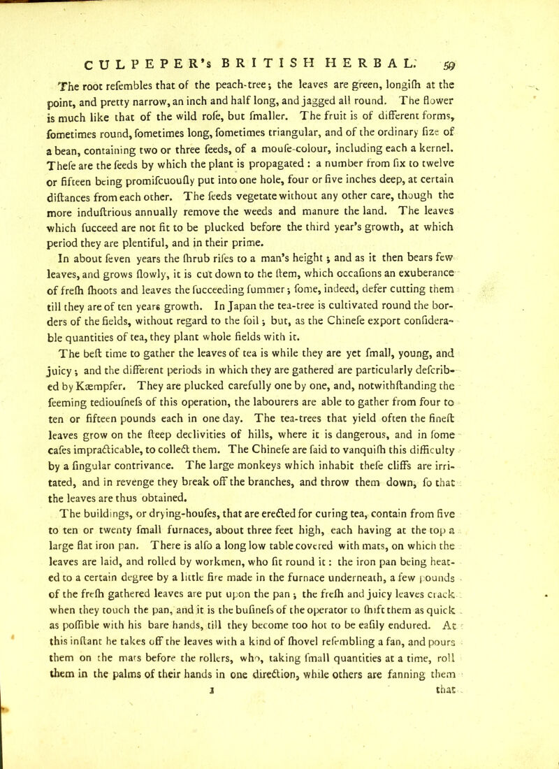The root refembles that of the peach-tree j the leaves are green, longifh at the point, and pretty narrow, an inch and half long, and jagged all round. The flower is much like that of the wild rofe, but fmaller. The fruit is of different forms, fometimes round, fometimes long, fometimes triangular, and of the ordinary fize of a bean, containing two or three feeds, of a moufe-colour, including each a kernel. Thefe are the feeds by which the plant is propagated : a number from fix to twelve or fifteen being promifcuoufly put into one hole, four or five inches deep, at certain diftances from each other. The feeds vegetate without any other care, though the more induftrious annually remove the weeds and manure the land. The leaves which fucceed are not fit to be plucked before the third year’s growth, at which period they are plentiful, and in their prime. In about feven years the fhrub rifes to a man’s height ; and as it then bears few leaves, and grows (lowly, it is cut down to the Item, which occafions an exuberance of frefh fhoots and leaves the fucceeding fummerj fome, indeed, defer cutting them till they are of ten years growth. In Japan the tea-tree is cultivated round the bor- ders of the fields, without regard to the foil •, but, as the Chinefe export confidera~ ble quantities of tea, they plant whole fields with it. The bed time to gather the leaves of tea is while they are yet fmall, young, and juicy •, and the different periods in which they are gathered are particularly deferib- ed by Kaempfer. They are plucked carefully one by one, and, notwithftanding the feeming tedioufnefs of this operation, the labourers are able to gather from four to ten or fifteen pounds each in one day. The tea-trees that yield often the fined leaves grow on the deep declivities of hills, where it is dangerous, and in fome cafes impra&icable, to colledt them. The Chinefe are faid to vanquifh this difficulty by a Angular contrivance. The large monkeys which inhabit thefe cliffs are irri- tated, and in revenge they break off the branches, and throw them down, fo that the leaves are thus obtained. The buildings, or drying-houfes, that are eredled for curing tea, contain from five to ten or twenty fmall furnaces, about three feet high, each having at the top a large flat iron pan. There is alfo a long low table covered with mats, on which the leaves are laid, and rolled by workmen, who fit round it: the iron pan being heat- ed to a certain degree by a little fire made in the furnace underneath, a few pounds of the frefh gathered leaves are put upon the pan *, the freih and juicy leaves ciack when they touch the pan, and it is the bufinefs of the operator to fhift them as quick as poffible with his bare hands, till they become too hot to be eafily endured. At this inflant he takes off the leaves with a kind of (hovel refvmbling a fan, and pours them on the mars before the rollers, who, taking fmall quantities at a time, roll them in the palms of their hands in one direction, while others are fanning them jj that