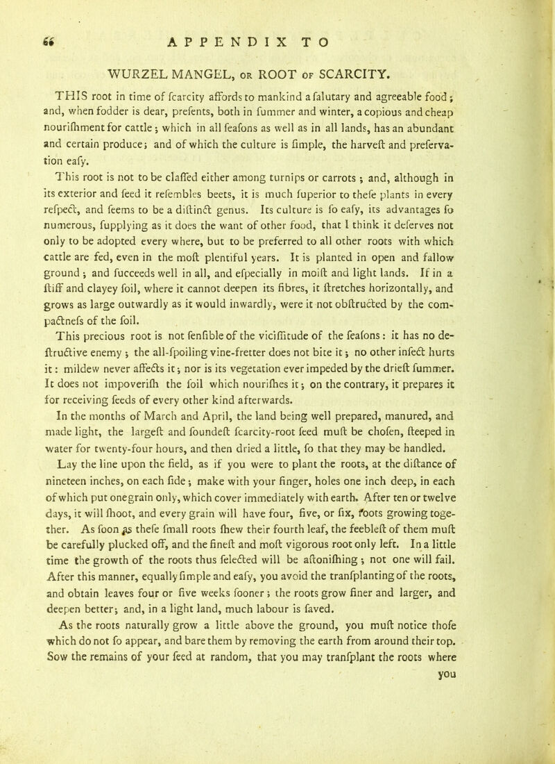 WURZEL MANGEL, or ROOT of SCARCITY. THIS root in time of fcarcity affords to mankind afalutary and agreeable food; and, when fodder is dear, prefents, both in fummer and winter, a copious and cheap nourifhmentfor cattle; which in all feafons as well as in all lands, has an abundant and certain produce; and of which the culture is fimple, the harveft and preferva- iion eafy. This root is not to be claffed either among turnips or carrots ; and, although in its exterior and feed it refembles beets, it is much fuperior to thefe plants in every refpect, and feems to be a diftinft genus. Its culture is fo eafy, its advantages fo numerous, fupplying as it does the want of other food, that l think it deferves not only to be adopted every where, but to be preferred to all other roots with which cattle are fed, even in the mod plentiful years. It is planted in open and fallow ground ; and fucceeds well in all, and efpecially in moifl and light lands. If in a Riff and clayey foil, where it cannot deepen its fibres, it ftretches horizontally, and grows as large outwardly as it would inwardly, were it not obftructed by the com- paftnefs of the foil. This precious root is not fenfibleof the viciflitude of the feafons: it has no de- ftrudtive enemy ; the all-fpoiling vine-fretter does not bite it; no other infedl hurts it: mildew never affedts it; nor is its vegetation ever impeded by the drieft fummer. It does not impoverifh the foil which nourifhes it; on the contrary, it prepares it for receiving feeds of every other kind afterwards. In the months of March and April, the land being well prepared, manured, and made light, the largeft and foundeft fcarcity-root feed muft be chofen, fteeped in water for twenty-four hours, and then dried a little, fo that they may be handled. Lay the line upon the field, as if you were to plant the roots, at the diftance of nineteen inches, on each fide; make with your finger, holes one inch deep, in each of which put onegrain only, which cover immediately with earth. After ten or twelve days, it will fhoot, and every grain will have four, five, or fix, foots growing toge- ther. As foon thefe fmall roots fhew their fourth leaf, the feebleft of them muft be carefully plucked off, and the fineft and moft vigorous root only left. In a little time the growth of the roots thus feledted will be aftonifhing ; not one will fail. After this manner, equally fimple and eafy, you avoid the tranfplantingof the roots, and obtain leaves four or five weeks fooner ; the roots grow finer and larger, and deepen better; and, in a light land, much labour is faved. As the roots naturally grow a little above the ground, you muft notice thofe which do not fo appear, and bare them by removing the earth from around their top. Sow the remains of your feed at random, that you may tranfplant the roots where you