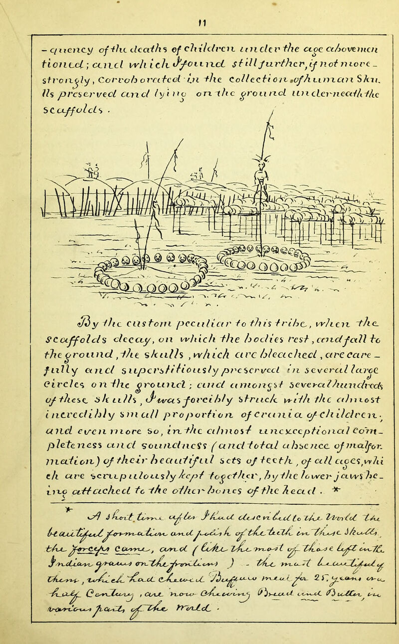 »1 -c/ncncy of the deaths ef children under the ctoe aAevemen tionccl ; ccncl wh ich J'/oilixcL still further ff not more . strongly, Corvoh o rate cl in the CoUecti on ,vfh t-im.cn i Shu. 11s preserved and lying on. the ground un tier needh the e/3y the custom peculiar to this tribe., where -the. Scaffolds clecccy, on which the h cdics rest, ccndfall to the ground ,the shulh , which circ hlcachcd, are care _ fully cinel s upci'stilioil sly pt'c served in several IceroC circles on the ground ; cuicl amoncst several hundreds of these, sh tills ' caucus forcibly struc/e vriththc almost i ncvcclihly small pro portion of cranice of children.- Ullcl even more So, in the cihnost a ncscccptioncil Co?n~ plctencss and soundness (unci total absence, ofmalfor. median) of their hectuiif ul sets of teeth. , of cell ciccs,wlti th ui'C s>cviLp idoccsly teept together, hy the lower j awshe . Inc attached to the othen hones of the Acceel . at J itc it. h>y v * cif h* J*h<*~oC i-t c/ / © l/x..* I ? <} (ot lAu. (ht COOL Osn-U.h. ef tda.~lt.clti, Cw. -tAa. jfey~C.tga) Can, oC f Cc/ttC- Z^Lc. rm.o-^1 f. theca) e LftdctZ. rcctcCWi, frea^a crnTldafunX-t-a^-) ) - ttue. m. o. -t h^CtJ^df-cd y , elr/ddi. £oc.cC eddec^U. fd (? t CtAJt- t^L-Cr-LO Qs/xjIL CsCri^t-^ ^y-iUA-OL L<w^~ot (Th LcXCe^ JT J j, — ' ^ Crt-LdC •