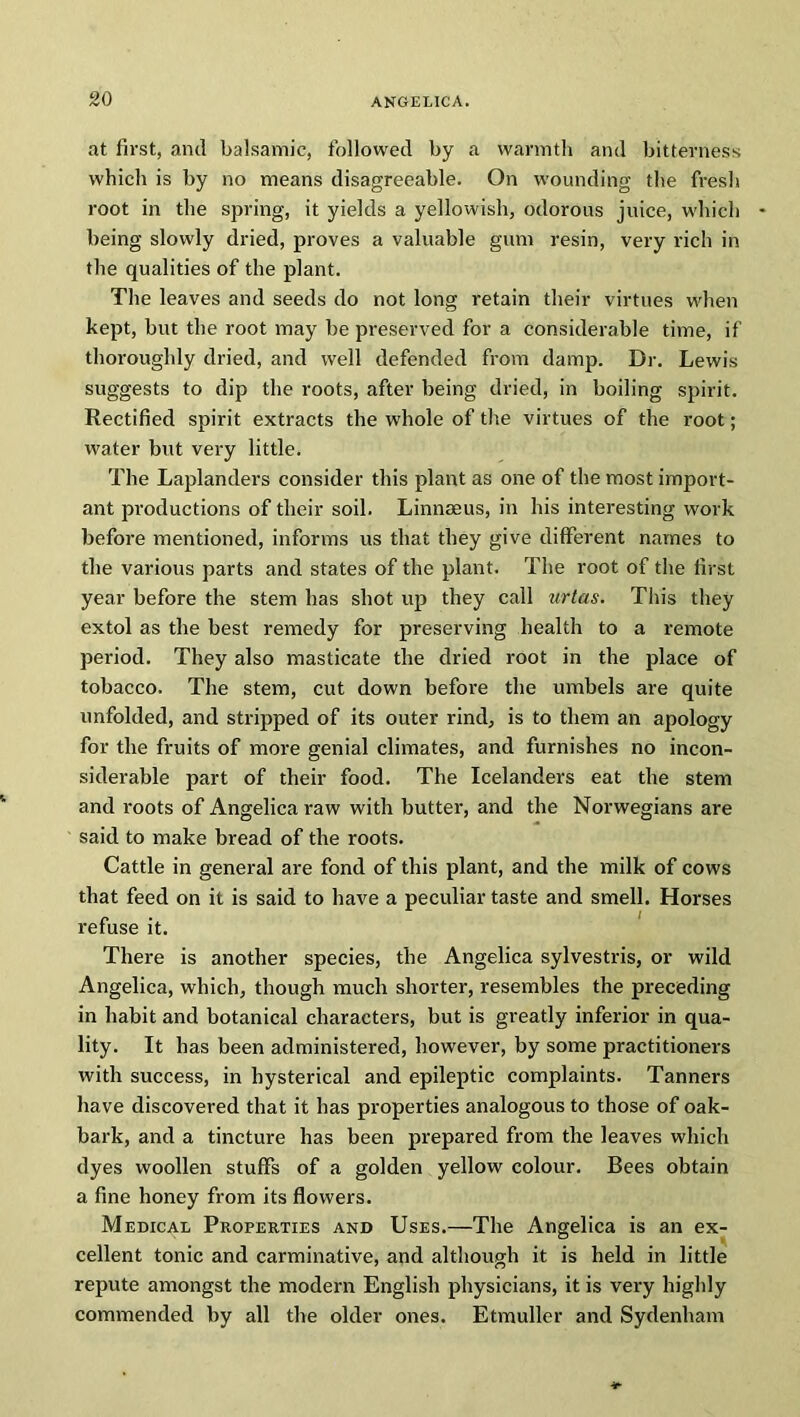 at first, and balsamic, followed by a warmth and bitterness which is by no means disagreeable. On wounding the fresh root in the spring, it yields a yellowish, odorous juice, which being slowly dried, proves a valuable gum resin, very rich in the qualities of the plant. The leaves and seeds do not long retain their virtues when kept, but the root may be preserved for a considerable time, if thoroughly dried, and well defended from damp. Dr. Lewis suggests to dip the roots, after being dried, in boiling spirit. Rectified spirit extracts the whole of the virtues of the root; water but very little. The Laplanders consider this plant as one of the most import- ant productions of their soil. Linnaeus, in his interesting work before mentioned, informs us that they give different names to the various parts and states of the plant. The root of the first year before the stem has shot up they call urtas. This they extol as the best remedy for preserving health to a remote period. They also masticate the dried root in the place of tobacco. The stem, cut down before the umbels are quite unfolded, and stripped of its outer rind, is to them an apology for the fruits of more genial climates, and furnishes no incon- siderable part of their food. The Icelanders eat the stem and roots of Angelica raw with butter, and the Norwegians are said to make bread of the roots. Cattle in general are fond of this plant, and the milk of cows that feed on it is said to have a peculiar taste and smell. Horses refuse it. There is another species, the Angelica sylvestris, or wild Angelica, which, though much shorter, resembles the preceding in habit and botanical characters, but is greatly inferior in qua- lity. It has been administered, however, by some practitioners with success, in hysterical and epileptic complaints. Tanners have discovered that it has properties analogous to those of oak- bark, and a tincture has been prepared from the leaves which dyes woollen stuffs of a golden yellow colour. Bees obtain a fine honey from its flowers. Medical Properties and Uses.—The Angelica is an ex- cellent tonic and carminative, and although it is held in little repute amongst the modern English physicians, it is very highly commended by all the older ones. Etmuller and Sydenham