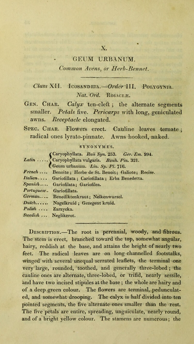X. GEUM UR'BANUM. Common Avens, or Herb-Bennet. Class XII. Icosandria.—Order III. Polygynia. Nat. Ord. Rosace.®. Gen. Char. Calyx ten-cleft; the alternate segments smaller. Petals five. Pericarps with long, geniculated awns. Receptacle elongated. Spec. Char. Flowers erect. Cauline leaves ternate; radical ones lyrato-pinnate. Awrns hooked, naked. SYNONYMS. Latin French .... Italian.... Spanish.... Portuguese- German Dutch Polish .... Swedish ... ^ Caryophyllata. Rail Syn. 253. Ger. Em. 994. \ Caryophyllata vulgaris. Bauh. Pin. 321. f Geiun urbanum. Lin. Sp. PL 716. Benoite ; Herbe de St. Benoit; Galiote; Recise. Gariofillata ; Cariofillata ; Erba Benedetta. Gariofilata; Gariofilea. Gariofillata. Benediktenkraut; Nelkenwurzel. Nagelkruid ; Gezegent kruid. Zarzycka. Neglikerot. Description.—The root is perennial, woody, and fibrous. The stem is erect, branched toward the top, somewhat angular, hairy, reddish at the base, and attains the height of nearly two feet. The radical leaves are on long channelled footstalks, winged with several unequal serrated leaflets, the terminal ono very large, rounded, toothed, and generally three-lobed; the cauline ones are alternate, three-lobed, or trifid, nearly sessile, and have two incised stipules at the base ; the whole are hairy and of a deep green colour. The flowers are terminal, pedunculat- ed, and somewhat drooping. The calyx is half divided into ten pointed segments, the five alternate ones smaller than the rest. The five petals are entire, spreading, unguiculate, nearly round, and of a bright yellow colour. The stamens are numerous; the