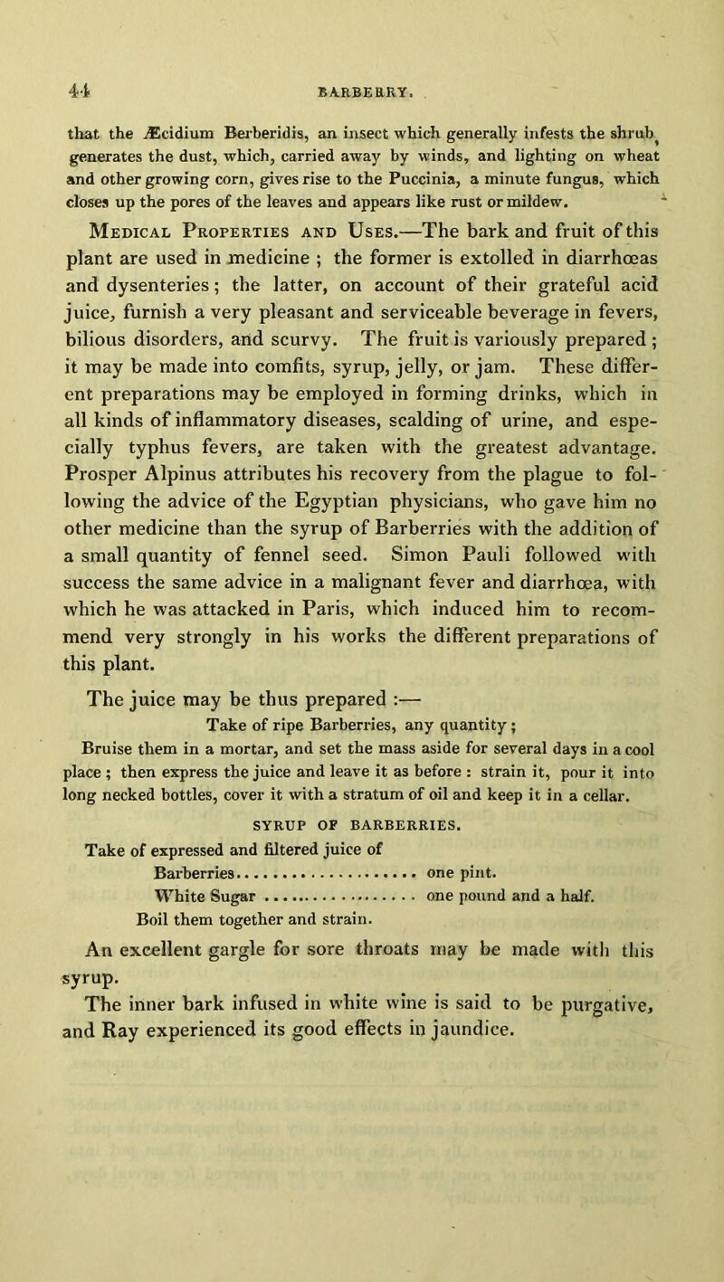 that the yEcidium Berberidis, an insect which generally infests the shruh generates the dust, which, carried away by winds, and lighting on wheat and other growing corn, gives rise to the Puccinia, a minute fungus, which closes up the pores of the leaves and appears like rust or mildew. Medical Properties and Uses.—The bark and fruit of this plant are used in medicine ; the former is extolled in diarrhoeas and dysenteries; the latter, on account of their grateful acid juice, furnish a very pleasant and serviceable beverage in fevers, bilious disorders, and scurvy. The fruit is variously prepared ; it may be made into comfits, syrup, jelly, or jam. These differ- ent preparations may be employed in forming drinks, which in all kinds of inflammatory diseases, scalding of urine, and espe- cially typhus fevers, are taken with the greatest advantage. Prosper Alpinus attributes his recovery from the plague to fol- lowing the advice of the Egyptian physicians, who gave him no other medicine than the syrup of Barberries with the addition of a small quantity of fennel seed. Simon Pauli followed with success the same advice in a malignant fever and diarrhoea, with which he was attacked in Paris, which induced him to recom- mend very strongly in his works the different preparations of this plant. The juice may be thus prepared :— Take of ripe Barberries, any quantity; Bruise them in a mortar, and set the mass aside for several days in a cool place ; then express the juice and leave it as before : strain it, pour it into long necked bottles, cover it with a stratum of oil and keep it in a cellar. SYRUP OF BARBERRIES. Take of expressed and filtered juice of Barberries one pint. White Sugar one pound and a half. Boil them together and strain. An excellent gargle for sore throats may be made witli this syrup. The inner bark infused in white wine is said to be purgative, and Ray experienced its good effects in jaundice.