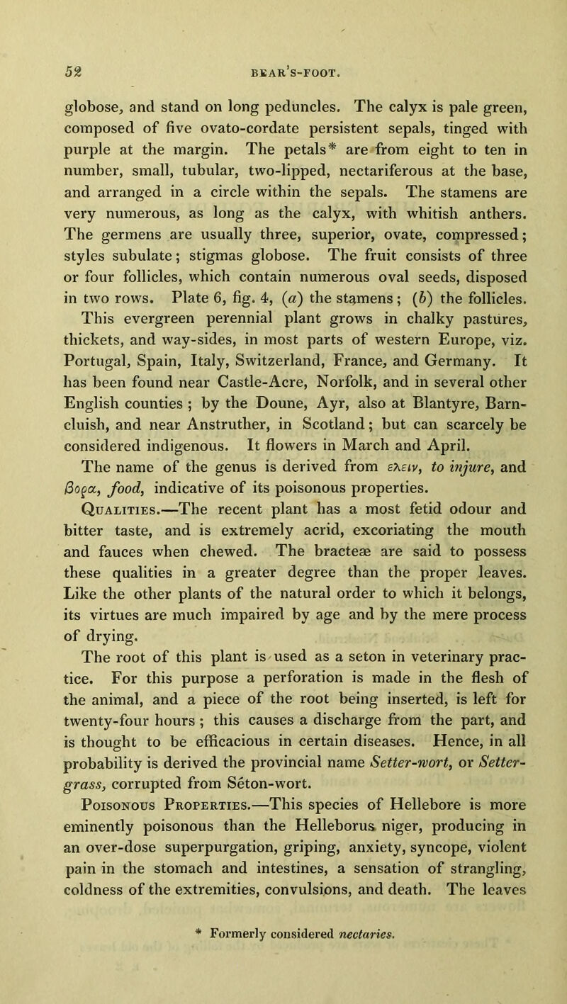 globose, and stand on long peduncles. The calyx is pale green, composed of five ovato-cordate persistent sepals, tinged with purple at the margin. The petals* are from eight to ten in number, small, tubular, two-lipped, nectariferous at the base, and arranged in a circle within the sepals. The stamens are very numerous, as long as the calyx, with whitish anthers. The germens are usually three, superior, ovate, compressed; styles subulate; stigmas globose. The fruit consists of three or four follicles, which contain numerous oval seeds, disposed in two rows. Plate 6, fig. 4, (a) the stamens; (b) the follicles. This evergreen perennial plant grows in chalky pastures, thickets, and way-sides, in most parts of western Europe, viz. Portugal, Spain, Italy, Switzerland, France, and Germany. It has been found near Castle-Acre, Norfolk, and in several other English counties ; by the Doune, Ayr, also at Blantyre, Barn- cluish, and near Anstruther, in Scotland; but can scarcely be considered indigenous. It flowers in March and April. The name of the genus is derived from e\eiv, to injure, and iSopa, food, indicative of its poisonous properties. Qualities.—The recent plant has a most fetid odour and bitter taste, and is extremely acrid, excoriating the mouth and fauces when chewed. The bracteae are said to possess these qualities in a greater degree than the proper leaves. Like the other plants of the natural order to which it belongs, its virtues are much impaired by age and by the mere process of drying. The root of this plant is used as a seton in veterinary prac- tice. For this purpose a perforation is made in the flesh of the animal, and a piece of the root being inserted, is left for twenty-four hours ; this causes a discharge from the part, and is thought to be efficacious in certain diseases. Hence, in all probability is derived the provincial name Setter-wort, or Setter- grass, corrupted from Seton-wort. Poisonous Properties.—This species of Hellebore is more eminently poisonous than the Helleborus niger, producing in an over-dose superpurgation, griping, anxiety, syncope, violent pain in the stomach and intestines, a sensation of strangling, coldness of the extremities, convulsions, and death. The leaves Formerly considered nectaries.