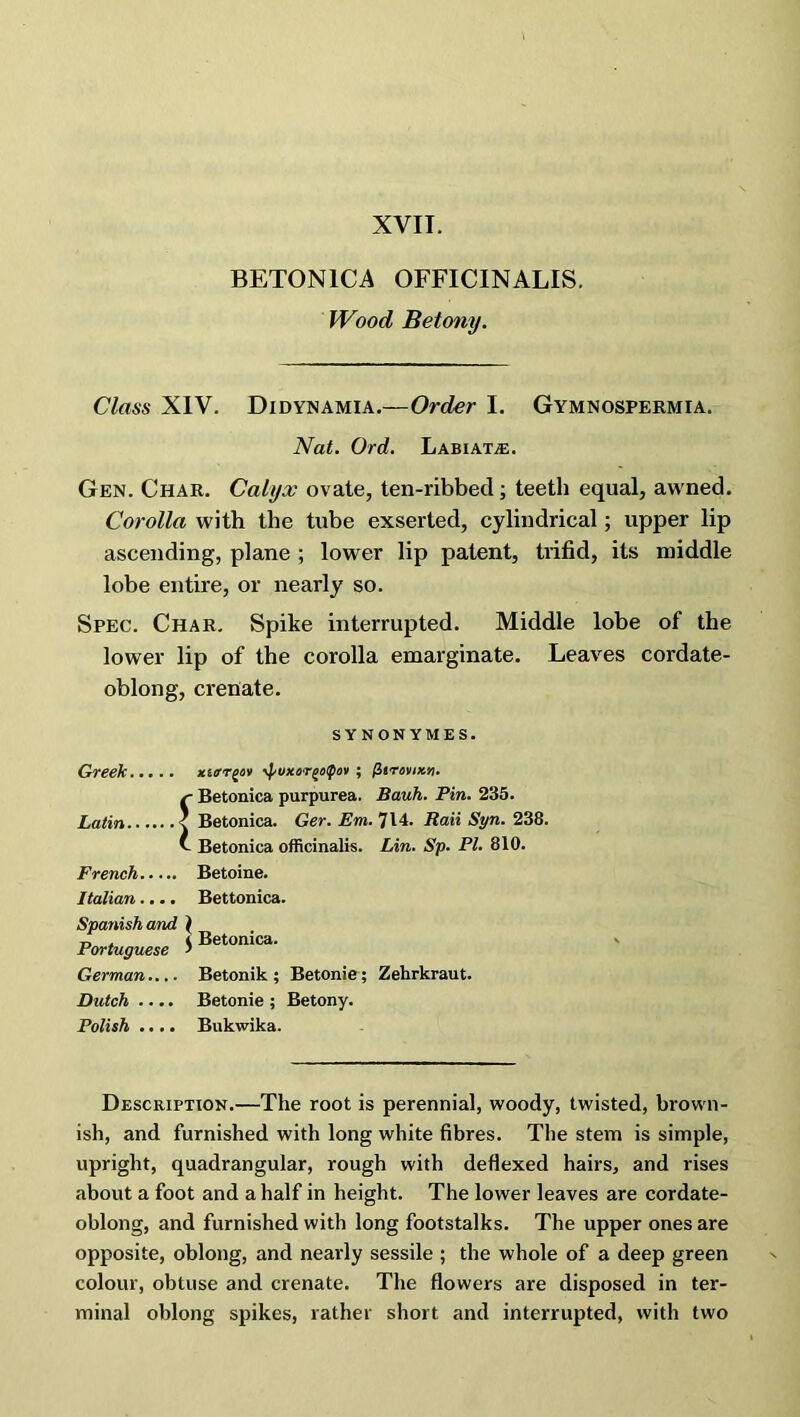 BETONICA OFFICINALIS. Wood Betony. Class XIV. Didynamia.—Order I. Gymnospermia. Nat. Ord. Labiate. Gen. Char. Calyx ovate, ten-ribbed ; teeth equal, avvned. Corolla with the tube exserted, cylindrical; upper lip ascending, plane ; lower lip patent, trifid, its middle lobe entire, or nearly so. Spec. Char. Spike interrupted. Middle lobe of the lower lip of the corolla emarginate. Leaves cordate- oblong, crenate. SYNONYM ES. Greek xuxtppv ^uxor/iotpov ; fitrovixti. r Betonica purpurea. Bauh. Pin. 235. Latin < Betonica. Ger. Em. 714. Raii Syn. 238. A Betonica officinalis. Lin. Sp. PI. 810. French Betoine. Italian.... Bettonica. Spanish and \ D . i Betonica. Portuguese > German.... Betonik ; Betonie; Zehrkraut. Dutch .... Betonie ; Betony. Polish .... Bukwika. Description.—The root is perennial, woody, twisted, brown- ish, and furnished with long white fibres. The stem is simple, upright, quadrangular, rough with deflexed hairs, and rises about a foot and a half in height. The lower leaves are cordate- oblong, and furnished with long footstalks. The upper ones are opposite, oblong, and nearly sessile ; the whole of a deep green colour, obtuse and crenate. The flowers are disposed in ter- minal oblong spikes, rather short and interrupted, with two