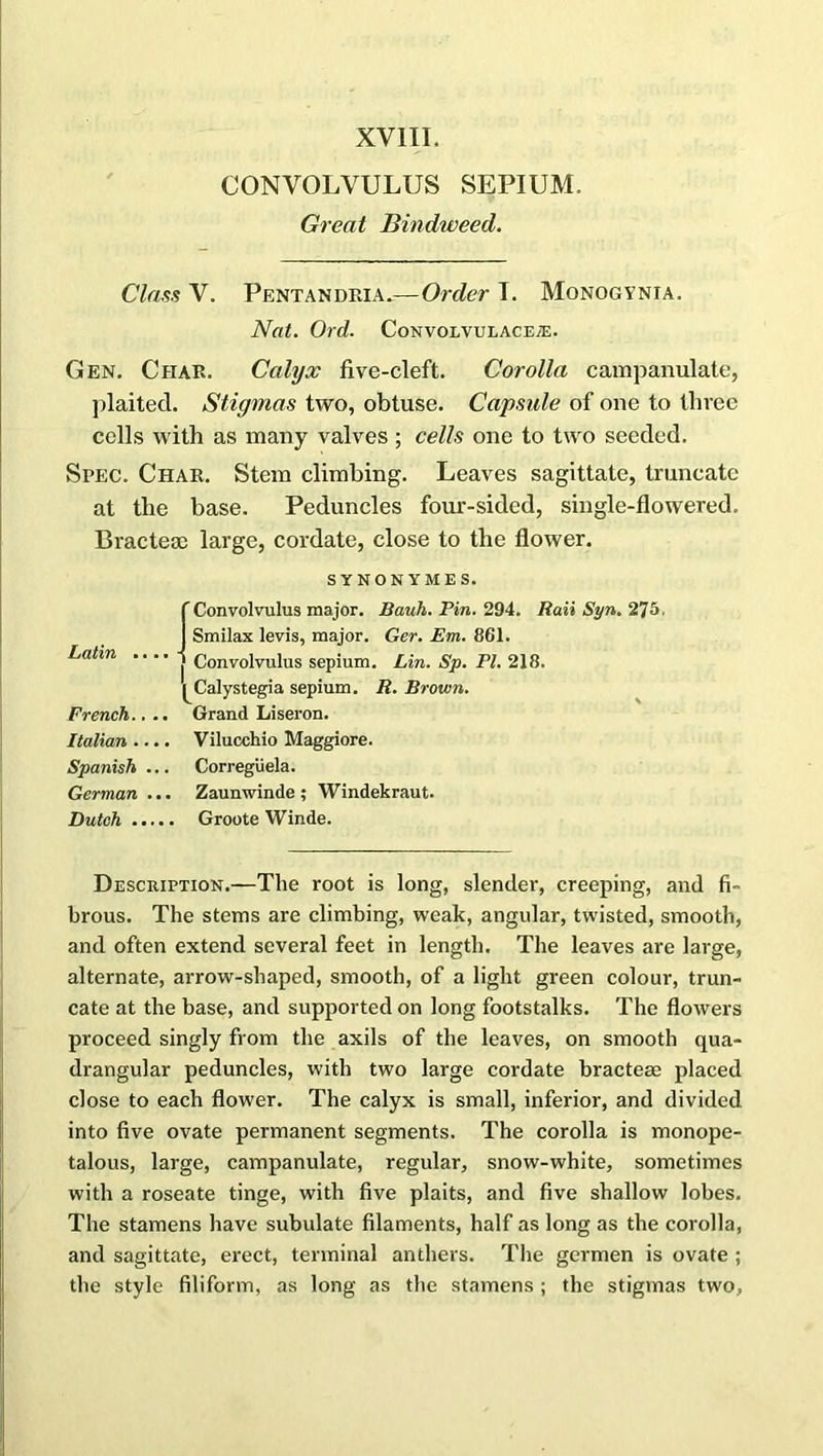 CONVOLVULUS SEPIUM. Great Bindweed. Class V. Pentandria.—Order T. Monogynta. Nat. Ord. Convolvulacete. Gen. Char. Calyx five-cleft. Corolla campanulate, plaited. Stigmas two, obtuse. Capsule of one to three cells with as many valves; cells one to two seeded. Spec. Char. Stem climbing. Leaves sagittate, truncate at the base. Peduncles four-sided, single-flowered. Bractem large, cordate, close to the flower. SYNONYMES. 'Convolvulus major. Bauh. Pin. 294. Ran Syn. 275. Smilax levis, major. Ger. Em. 861. Latin .... j Convolvulus sepium. Lin. Sp. PI. 218. pCalystegia sepium. R. Brown. French.. .. , Grand Liseron. Italian ... . Vilucchio Maggiore. Spanish .. Correguela. German .. . Zaunwinde; Windekraut. Dutch .... . Groote Winde. Description.—The root is long, slender, creeping, and fi- brous. The steins are climbing, weak, angular, twisted, smooth, and often extend several feet in length. The leaves are large, alternate, arrow-shaped, smooth, of a light green colour, trun- cate at the base, and supported on long footstalks. The flowers proceed singly from the axils of the leaves, on smooth qua- drangular peduncles, with two large cordate bracteae placed close to each flower. The calyx is small, inferior, and divided into five ovate permanent segments. The corolla is monope- talous, large, campanulate, regular, snow-white, sometimes with a roseate tinge, with five plaits, and five shallow lobes. The stamens have subulate filaments, half as long as the corolla, and sagittate, erect, terminal anthers. The germen is ovate ; the style filiform, as long as the stamens ; the stigmas two,