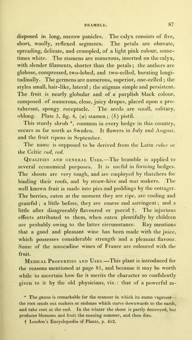 disposed in long, narrow panicles. The calyx consists of five, short, woolly, reflexed segments. The petals are obovate, spreading, delicate, and crumpled, of a light pink colour, some- times white. The stamens are numerous, inserted on the calyx, with slender filaments, shorter than the petals ; the anthers are globose, compressed, two-lobed, and two-celled, bursting longi- tudinally. The germens are numerous, superior, one-celled ; the styles small, hair-like, lateral; the stigmas simple and persistent. The fruit is nearly globular and of a purplish black colour, composed of numerous, close, juicy drupes, placed upon a pro- tuberant, spongy receptacle. The seeds are small, solitary, oblong. Plate 5, fig. 4, (a) stamen ; (6) pistil. This sturdy shrub *, common in every hedge in this country, occurs as far north as Sweden. It flowers in July and August, and the fruit ripens in September. The name is supposed to be derived from the Latin ruber or the Celtic rud, red. Qualities and general Uses.—The bramble is applied to several economical purposes. It is useful in forming hedges. The shoots are very tough, and are employed by thatchers for binding their roofs, and by straw-hive and mat makers. The well known fruit is made into pies and puddings by the cottager. The berries, eaten at the moment they are ripe, are cooling and grateful; a little before, they are coarse and astringent; and a little after disagreeably flavoured or putrid -j\ The injurious effects attributed to them, when eaten plentifully by children are probably owing to the latter circumstance. Ray mentions that a good and pleasant wine has been made with the juice, which possesses considerable strength and a pleasant flavour. Some of the muscadine wines of France are coloured with the fruit. Medical Properties and Uses.—This plant is introduced for the reasons mentioned at page 81, and because it may be worth while to ascertain how far it merits the character so confidently given to it by the old physicians, viz.: that of a powerful as- * The genus is remarkable for the manner in which its stems vegetate— the root sends out suckers or stolones which curve downwards to the earth, and take root at the end. In the winter the shoot is partly destroyed, but produces blossoms and fruit the ensuing summer, and then dies. + Loudon’s Encyclopaedia of Plants, p. 4&2.
