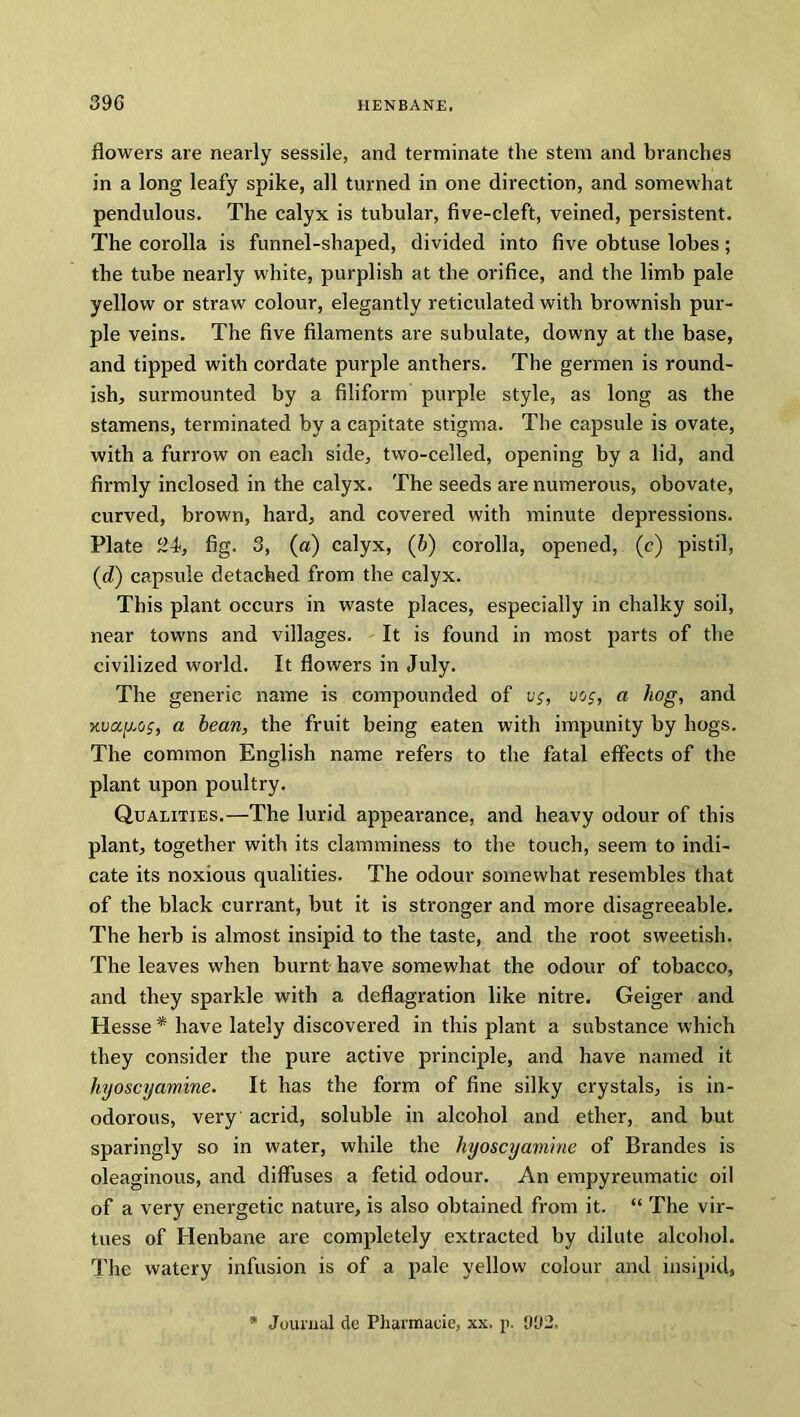 flowers are nearly sessile, and terminate the stem and branches in a long leafy spike, all turned in one direction, and somewhat pendulous. The calyx is tubular, five-cleft, veined, persistent. The corolla is funnel-shaped, divided into five obtuse lobes; the tube nearly white, purplish at the orifice, and the limb pale yellow or straw colour, elegantly reticulated with brownish pur- ple veins. The five filaments are subulate, downy at the base, and tipped with cordate purple anthers. The germen is round- ish, surmounted by a filiform purple style, as long as the stamens, terminated by a capitate stigma. The capsule is ovate, with a furrow on each side, two-celled, opening by a lid, and firmly inclosed in the calyx. The seeds are numerous, obovate, curved, brown, hard, and covered with minute depressions. Plate 24, fig. 3, (a) calyx, (6) corolla, opened, (c) pistil, (d) capsule detached from the calyx. This plant occurs in w'aste places, especially in chalky soil, near towns and villages. It is found in most parts of the civilized world. It flowers in July. The generic name is compounded of vs, vo$, a hog, and xuay-oj, a bean, the fruit being eaten with impunity by hogs. The common English name refers to the fatal effects of the plant upon poultry. Qualities.—The lurid appearance, and heavy odour of this plant, together with its clamminess to the touch, seem to indi- cate its noxious qualities. The odour somewhat resembles that of the black currant, but it is stronger and more disagreeable. The herb is almost insipid to the taste, and the root sweetish. The leaves when burnt have somewhat the odour of tobacco, and they sparkle with a deflagration like nitre. Geiger and Hesse * have lately discovered in this plant a substance which they consider the pure active principle, and have named it hyoscyamine. It has the form of fine silky crystals, is in- odorous, very acrid, soluble in alcohol and ether, and but sparingly so in water, while the hyoscyamine of Brandes is oleaginous, and diffuses a fetid odour. An empyreumatic oil of a very energetic nature, is also obtained from it. “ The vir- tues of Henbane are completely extracted by dilute alcohol. The watery infusion is of a pale yellow colour and insipid, * Journal de Pharmacie, xx. p. 992.