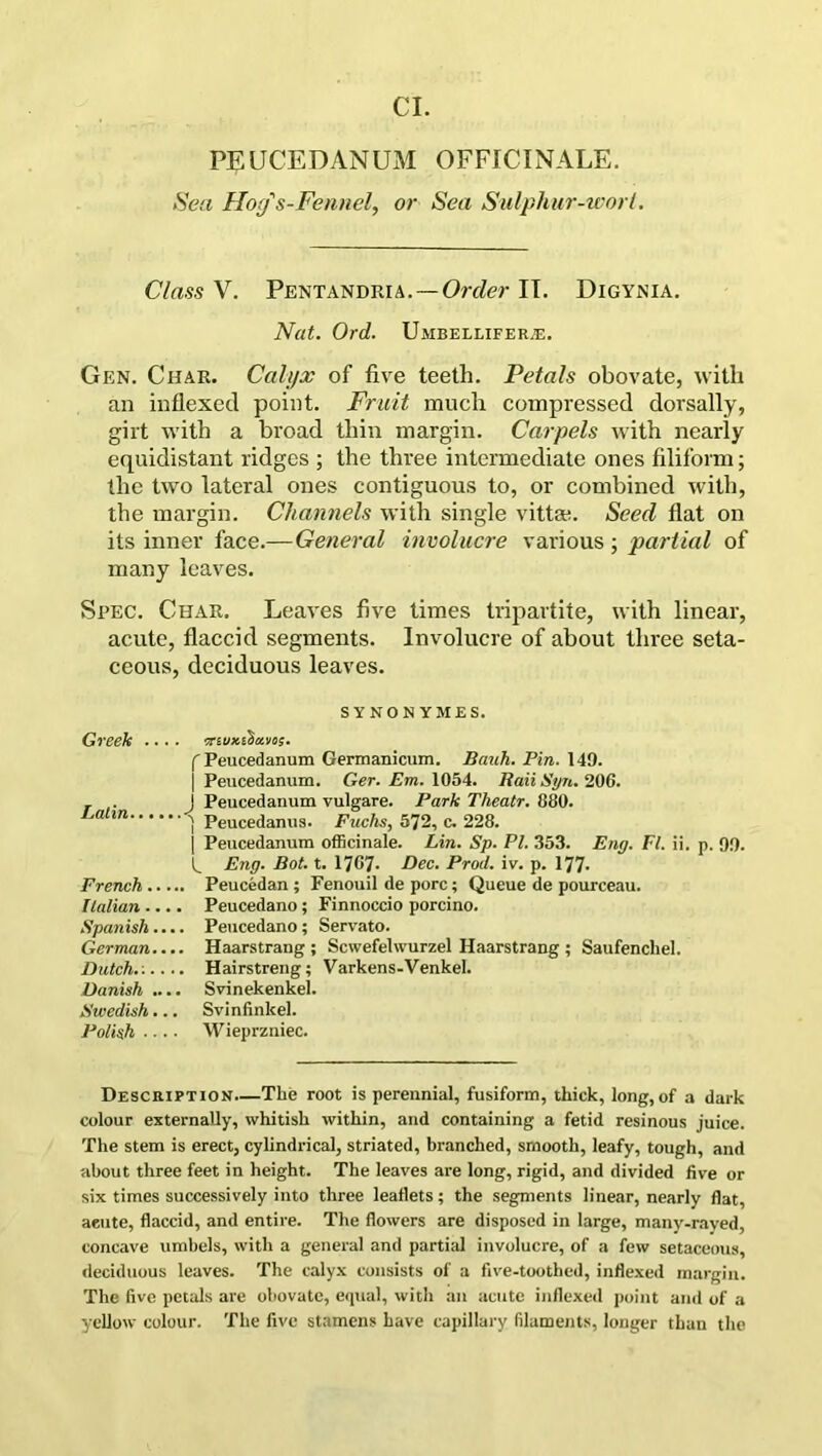 PEUCEDANUM OFFICINALE. Sea Ho(j s-Fennel, or Sea Sulphur-wort. Class V. Pentandria.— Order IT. Digynia. Nat. Ord. Umbellifer.e. Gen. Char. Calyx of five teeth. Petals obovate, with an inflexecl point. Fruit much compressed dorsally, girt with a broad thin margin. Carpels with nearly equidistant ridges ; the three intermediate ones filiform; the two lateral ones contiguous to, or combined with, the margin. Channels with single vittee. Seed flat on its inner face.—General involucre various ; partial of many leaves. Spec. Char. Leaves five times tripartite, with linear, acute, flaccid segments. Involucre of about three seta- ceous, deciduous leaves. SYNONYM ES. Greek .... vnvxtbavos. f Peucedanum Germanicum. Bauh. Pin. 149. j Peucedanum. Ger. Em. 1054. liaii Syn. 20G. . . J Peucedanum vulgare. Park Theatr. 880. ,Mlin -j Peucedanus. Fuchs, 572, c. 228. | Peucedanum officinale. Lin. Sp. PI. 353. Eng. FI. ii. p. 99. Eng. Bot. t. 1707. Dec. Prod. iv. p. 177- French Peucedan ; Fenouil de pore; Queue de pourceau. Italian Peucedano ; Finnoccio porcino. Spanish.... Peucedano ; Servato. German Haarstrang ; Scwefehvurzel Haarstrang ; Saufenchel. Dutch.:.... Hairstreng; Varkens-Venkel. Danish .... Svinekenkel. Swedish... Svinfinkel. Polish .... Wieprzniec. Description—The root is perennial, fusiform, thick, long, of a dark colour externally, whitish within, and containing a fetid resinous juice. The stem is erect, cylindrical, striated, branched, smooth, leafy, tough, and about three feet in height. The leaves are long, rigid, and divided five or six times successively into three leaflets; the segments linear, nearly flat, aeute, flaccid, and entire. The flowers are disposed in large, manv-rayed, concave umbels, with a general and partial involucre, of a few setaceous, deciduous leaves. The calyx consists of a five-toothed, inflexed margin. The five petals are obovate, equal, with an acute inflexed point and of a yellow colour. The five stamens have capillary filaments, longer than the