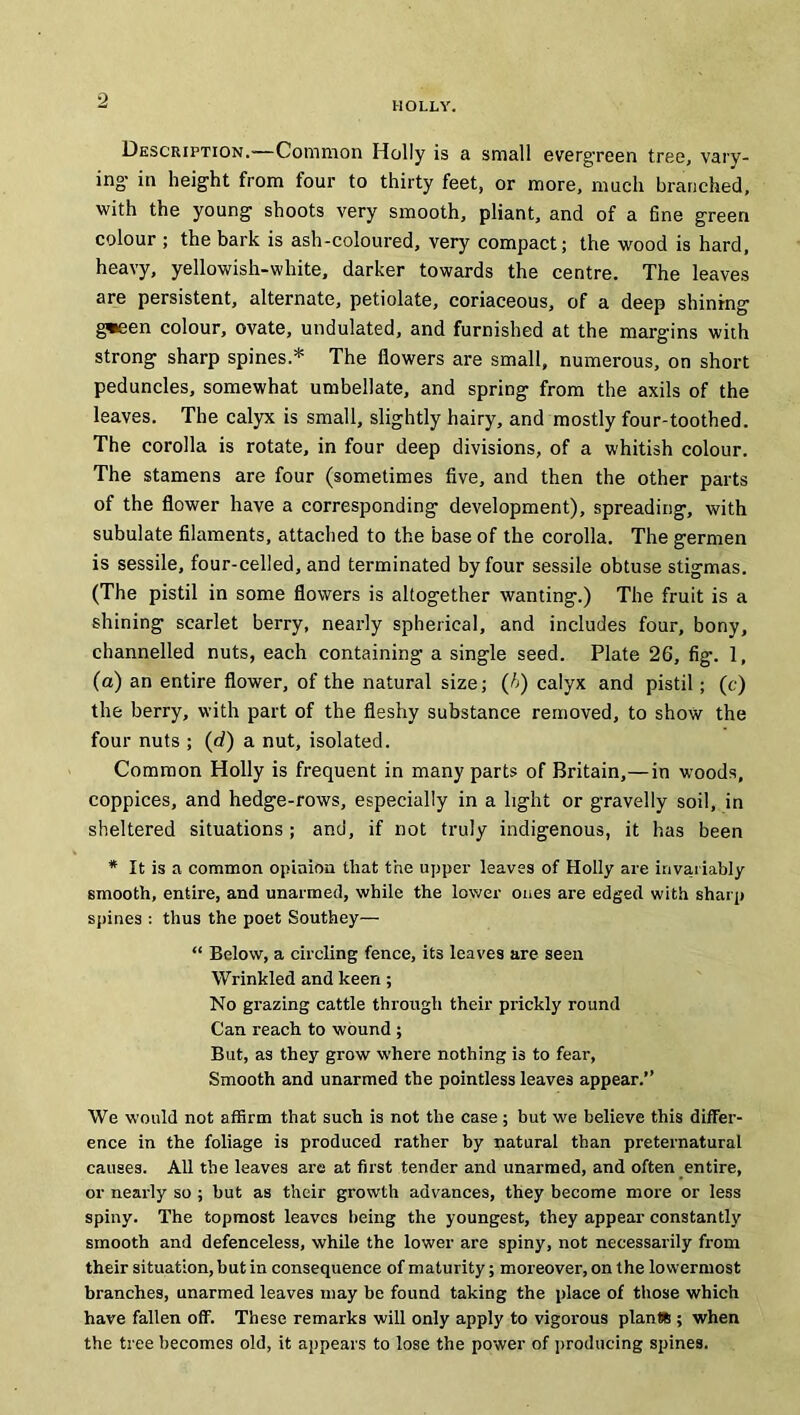 2 Description.—Common Holly is a small evergreen tree, vary- ing- in height from four to thirty feet, or more, much branched, with the young shoots very smooth, pliant, and of a fine green colour ; the bark is ash-coloured, very compact; the wood is hard, heavy, yellowish-white, darker towards the centre. The leaves are persistent, alternate, petiolate, coriaceous, of a deep shining g^een colour, ovate, undulated, and furnished at the margins with strong sharp spines* The flowers are small, numerous, on short peduncles, somewhat umbellate, and spring from the axils of the leaves. The calyx is small, slightly hairy, and mostly four-toothed. The corolla is rotate, in four deep divisions, of a whitish colour. The stamens are four (sometimes five, and then the other parts of the flower have a corresponding development), spreading, with subulate filaments, attached to the base of the corolla. The germen is sessile, four-celled, and terminated by four sessile obtuse stigmas. (The pistil in some flowers is altogether wanting.) The fruit is a shining scarlet berry, nearly spherical, and includes four, bony, channelled nuts, each containing a single seed. Plate 26, fig-. 1, (a) an entire flower, of the natural size; (A) calyx and pistil; (e) the berry, with part of the fleshy substance removed, to show the four nuts ; (d) a nut, isolated. Common Holly is frequent in many parts of Britain,—in woods, coppices, and hedge-rows, especially in a light or gravelly soil, in sheltered situations ; and, if not truly indigenous, it has been * It is a common opinion that the upper leaves of Holly are invariably smooth, entire, and unarmed, while the lower ones are edged with sharp spines : thus the poet Southey— “ Below, a circling fence, its leaves are seen Wrinkled and keen; No grazing cattle through their prickly round Can reach to wound ; But, as they grow where nothing is to fear, Smooth and unarmed the pointless leaves appear.” We would not affirm that such is not the case ; but we believe this differ- ence in the foliage is produced rather by natural than preternatural causes. All the leaves are at first tender and unarmed, and often entire, or nearly so ; but as their growth advances, they become more or less spiny. The topmost leaves being the youngest, they appear constantly smooth and defenceless, while the lower are spiny, not necessarily from their situation, but in consequence of maturity; moreover, on the lowermost branches, unarmed leaves may be found taking the place of those which have fallen off. These remarks will only apply to vigorous plant# ; when the tree becomes old, it appears to lose the power of producing spines.