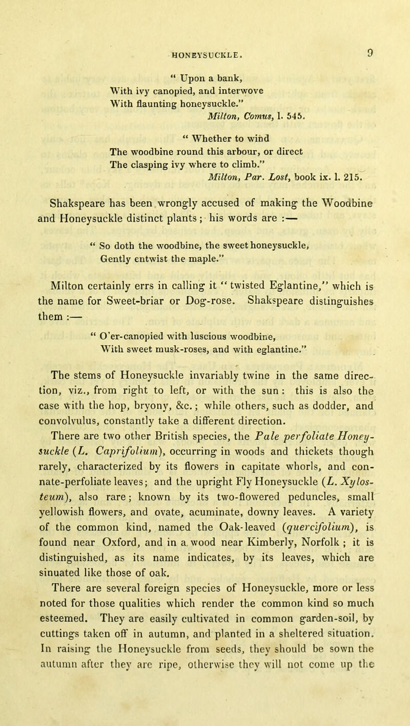 “ Upon a bank, With ivy canopied, and interwove With flaunting honeysuckle.” Milton, Comus, 1. 545. “ Whether to wind The woodbine round this arbour, or direct The clasping ivy where to climb.” Milton, Par. Lost, book ix. 1. 215. Shakspeare has been wrongly accused of making the Woodbine and Honeysuckle distinct plants; his words are :— “ So doth the woodbine, the sweet honeysuckle, Gently entwist the maple.” Milton certainly errs in calling it “ twisted Eglantine,” which is the name for Sweet-briar or Dog-rose. Shakspeare distinguishes them :— “ O’er-canopied with luscious woodbine, With sweet musk-roses, and with eglantine.” The stems of Honeysuckle invariably twine in the same direc- tion, viz., from right to left, or with the sun : this is also the case with the hop, bryony, &c.; while others, such as dodder, and convolvulus, constantly take a different direction. There are two other British species, the Pale perfoliate Honey- suckle (L. Caprifolium), occurring in woods and thickets though rarely, characterized by its flowers in capitate whorls, and con- nate-perfoliate leaves; and the upright Fly Honeysuckle (L. Xylos- teum), also rare; known by its two-flowered peduncles, small yellowish flowers, and ovate, acuminate, downy leaves. A variety of the common kind, named the Oak-leaved (quercifolium), is found near Oxford, and in a wood near Kimberly, Norfolk ; it is distinguished, as its name indicates, by its leaves, which are sinuated like those of oak. There are several foreign species of Honeysuckle, more or less noted for those qualities which render the common kind so much esteemed. They are easily cultivated in common garden-soil, by cuttings taken off in autumn, and planted in a sheltered situation. In raising the Honeysuckle from seeds, they should be sown the autumn after they are ripe, otherwise they will not come up the