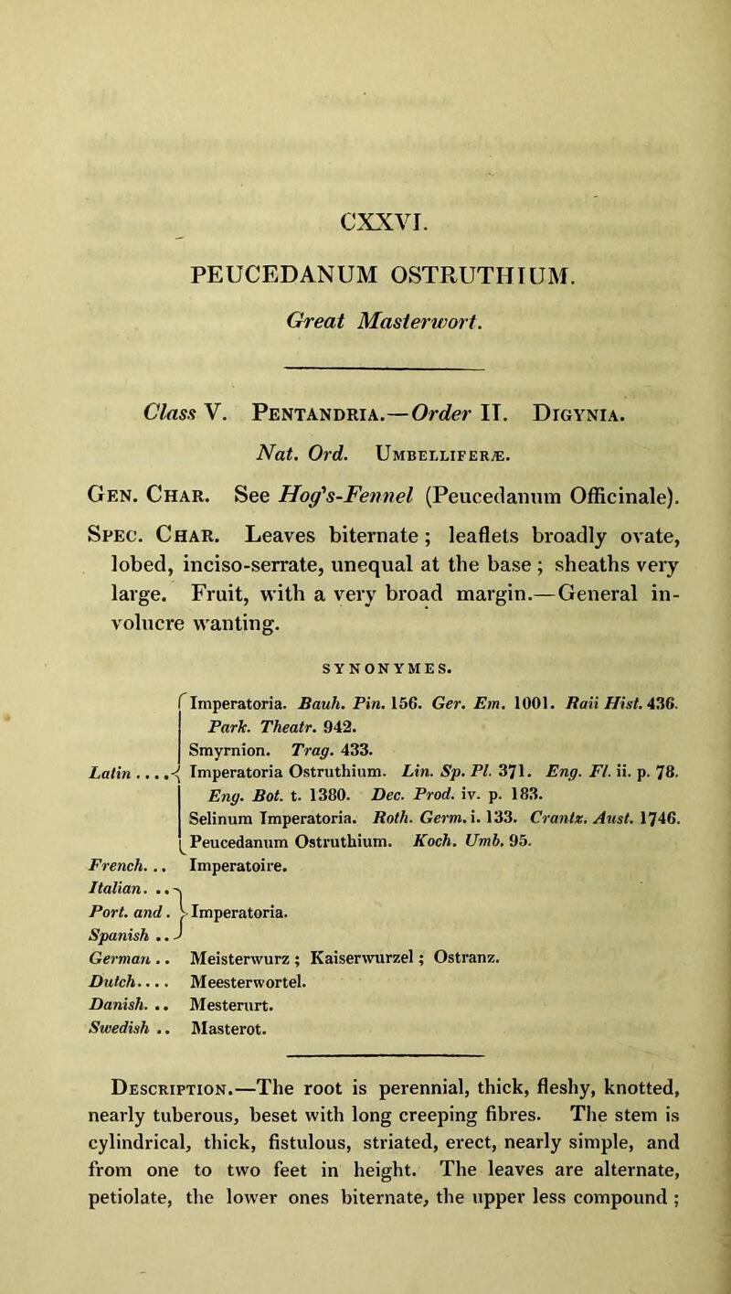 PEUCEDANUM OSTRUTHIUM. Great Masierwort. Class V. Pentandria.—Order IT. Digynia. Nat. Ord. Umbellifer;e. Gen. Char. See Hog's-Fennel (Peucedamim Officinale). Spec. Char. Leaves biternate; leaflets broadly ovate, lobed, inciso-serrate, unequal at the base ; sheaths very large. Fruit, with a very broad margin.—General in- volucre wanting. SYNONYMES. Latin ... French. .. Italian. . Port, and Spanish . German . Dutch... Danish. ., Swedish . f Imperatoria. Bauh. Pin. 156. Ger. Em. 1001. Ran Hist. 436. Park. Theatr. 942. Smyrnion. Trag. 433. Imperatoria Ostruthium. Lin. Sp. PI. 371. Eng. FI. ii. p. 78. Eng. Bot. t. 1380. Dec. Prod. iv. p. 183. Selinum Imperatoria. Roth. Germ. i. 133. Cranlz. Aust. 1746. ^ Peucedamim Ostruthium. Koch. Umh. 95. Imperatoire. . Imperatoria. Meisterwurz ; Kaiserwurzel; Ostranz. Meesterwortel. Mesterurt. Masterot. Description.—The root is perennial, thick, fleshy, knotted, nearly tuberous, beset with long creeping fibres. The stem is cylindrical, thick, fistulous, striated, erect, nearly simple, and from one to two feet in height. The leaves are alternate, petiolate, the lower ones biternate, the upper less compound ;