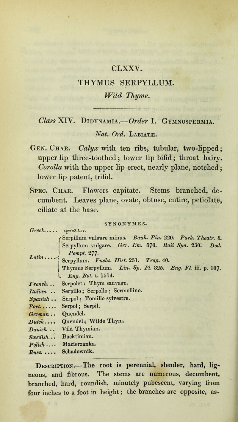 THYMUS SERPYLLUM. Wild Thyme. Class XIV. Didynamia.—Order I. Gymnospermia. Nat. Ord. Labiata:. Gen. Char. Calyx with ten ribs, tubular, two-lipped; upper lip three-toothed; lower lip bifid; throat hairy. Corolla with the upper lip erect, nearly plane, notched; lower lip patent, trifid. Spec. Char. Flowers capitate. Stems branched, de- cumbent. Leaves plane, ovate, obtuse, entire, petiolate, ciliate at the base. SYNONYMES. Greek..... ^Serpillum vulgare minus. Bauh. Pin. 220. Park. Theatr. 8. Serpyllum vulgare. Ger. Em. 570. Rail Syn. 230. Dod. Pempt. 277- atm ....<( Serpyllum. Fuchs. Hist. 251. Trag. 40. | Thymus Serpyllum. Lin. Sp. PI. 825. Eng. FI. iii. p. 107- L Eng. Bot. t. 1514. French. .. Serpolet; Thym sauvage. Italian .. Serpillo; Serpollo ; Sermollino. Spanish .. Serpol; Tomillo sylvestre. Port Serpol; Serpil. German .. Quendel. Dutch.... Quendel; Wilde Thym. Danish .. Vild Thymian. Swedish... Backtimian. Polish Macierzanka. Russ Schadownik. Description.—The root is perennial, slender, hard, lig- neous, and fibrous. The stems are numerous, decumbent, branched, hard, roundish, minutely pubescent, varying from four inches to a foot in height; the branches are opposite, as-