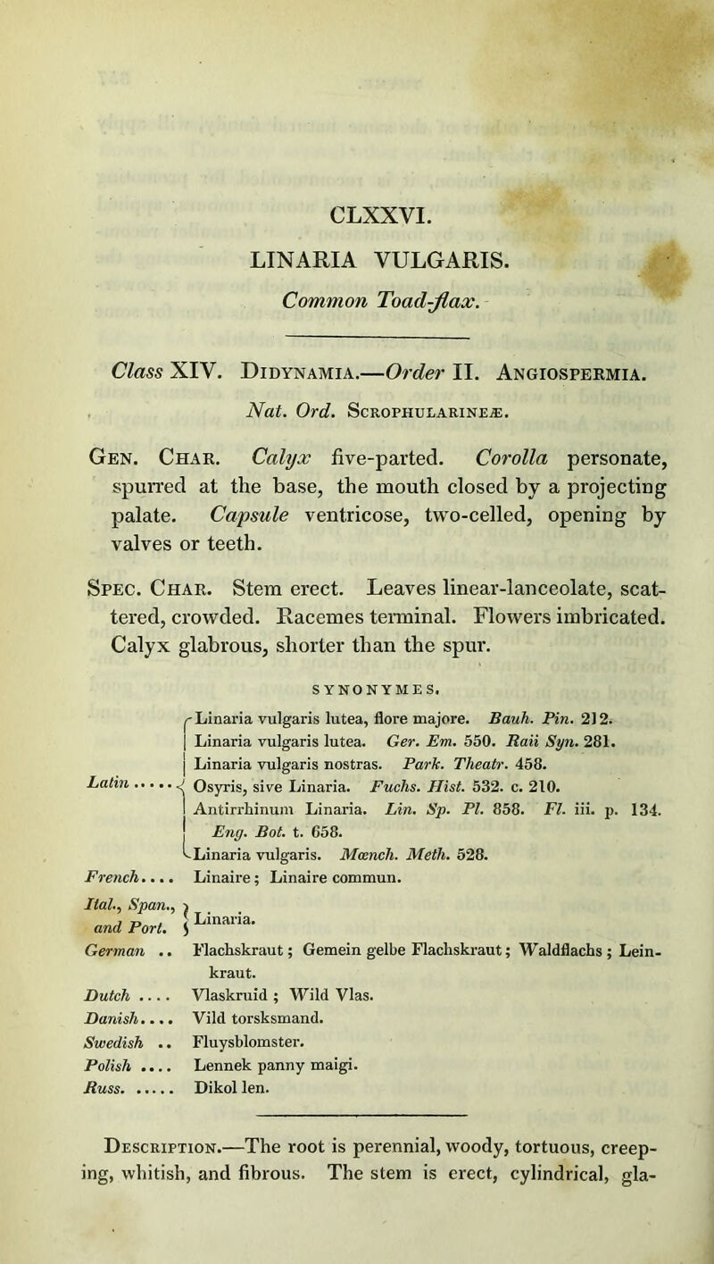 LIN ARIA VULGARIS. Common Toad-flax. Class XIV. Didynamia.—Order II. Angiospermia. Nat. Ord. Scrophularinea:. Gen. Char. Calyx five-parted. Corolla personate, spurred at the base, the mouth closed by a projecting palate. Capsule ventricose, two-celled, opening by valves or teeth. Spec. Char. Stem erect. Leaves linear-lanceolate, scat- tered, crowded. Racemes terminal. Flowers imbricated. Calyx glabrous, shorter than the spur. SYNONYMES. r Linaria vulgaris lutea, flore majore. Bauh. Pin. 212. | Linaria vulgaris lutea. Ger. Em. 550. Rati Syn. 281. j Linaria vulgaris nostras. Park. Theatr. 458. Latin > Osyris, sive Linaria. Fuchs. Hist. 532. c. 210. I Antirrhinum Linaria. Lin. Sp. PI. 858. FI. iii. p. 134. Eng. Bot. t. 658. ^Linaria vulgaris. Mmnch. Meth. 528. French.... Linaire ; Linaire commun. Hal., Span., ) and Port. J Linaria’ German .. Flachskraut; Gemein gelbe Flachskraut; Waldflachs; Lein- kraut. Dutch .... Vlaskruid ; Wild Vlas. Danish.... Vild torsksmand. Swedish .. Fluysblomster. Polish .... Lennek panny maigi. Russ Dikol len. Description.—The root is perennial, woody, tortuous, creep- ing, whitish, and fibrous. The stem is erect, cylindrical, gla-