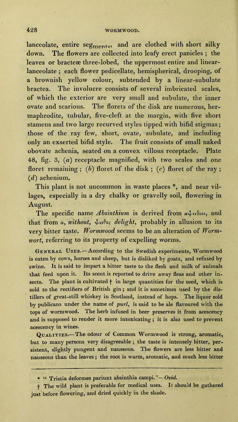 lanceolate, entire seg^pp^, and are clothed with short silky down. The flowers are collected into leafy erect panicles ; the leaves or bracteae three-lobed, the uppermost entire and linear- lanceolate ; each flower pedicellate, hemispherical, drooping, of a brownish yellow colour, subtended by a linear-subulate bractea. The involucre consists of several imbricated scales, of which the exterior are very small and subulate, the inner ovate and scarious. The florets of the disk are numerous, her- maphrodite, tubular, five-cleft at the margin, w'ith five short stamens and two large recurved styles tipped with bifid stigmas; those of the ray few, short, ovate, subulate, and including only an exserted bifid style. The fruit consists of small naked obovate achenia, seated on a convex villous receptacle. Plate 48, fig. 3, (a) receptacle magnified, with two scales and one floret remaining ; (6) floret of the disk ; (c) floret of the ray ; (cl) achenium. This plant is not uncommon in waste places *, and near vil- lages, especially in a dry chalky or gravelly soil, flowering in August. The specific name Absinthium is derived from a^ufiiov, and that from », without, iJ/iA? delight, probably in allusion to its very bitter taste. Wormwood seems to be an alteration of Worm- wort, referring to its property of expelling worms. General Uses. —According to the Swedish experiments, Wormwood is eaten by cows, horses and sheep, but is disliked by goats, and refused by swine. It is said to impart a bitter taste to the flesh and milk of animals that feed upon it. Its scent is reported to drive away fleas and other in- sects. The plant is cultivated f in large quantities for the seed, which is sold to the rectifiers of British gin; and it is sometimes used by the dis- tillers of great-still whiskey in Scotland, instead of hops. The liquor sold by publicans under the name of purl, is said to be ale flavoured with the tops of wormwood. The herb infused in beer preserves it from acescency and is supposed to render it more intoxicating ; it is also used to prevent acescency in wines. Qualities.—The odour of Common Wormwood is strong, aromatic, but to many persons very disagreeable ; the taste is intensely bitter, per- sistent, slightly pungent and nauseous. The flowers are less bitter and nauseous than the leaves; the root is warm, aromatic, and much less bitter * “ Tristia deformes pariunt absinthia campi.”— Ovid. f The wild plant is preferable for medical uses. It should be gathered just before flowering, and dried quickly in the shade.