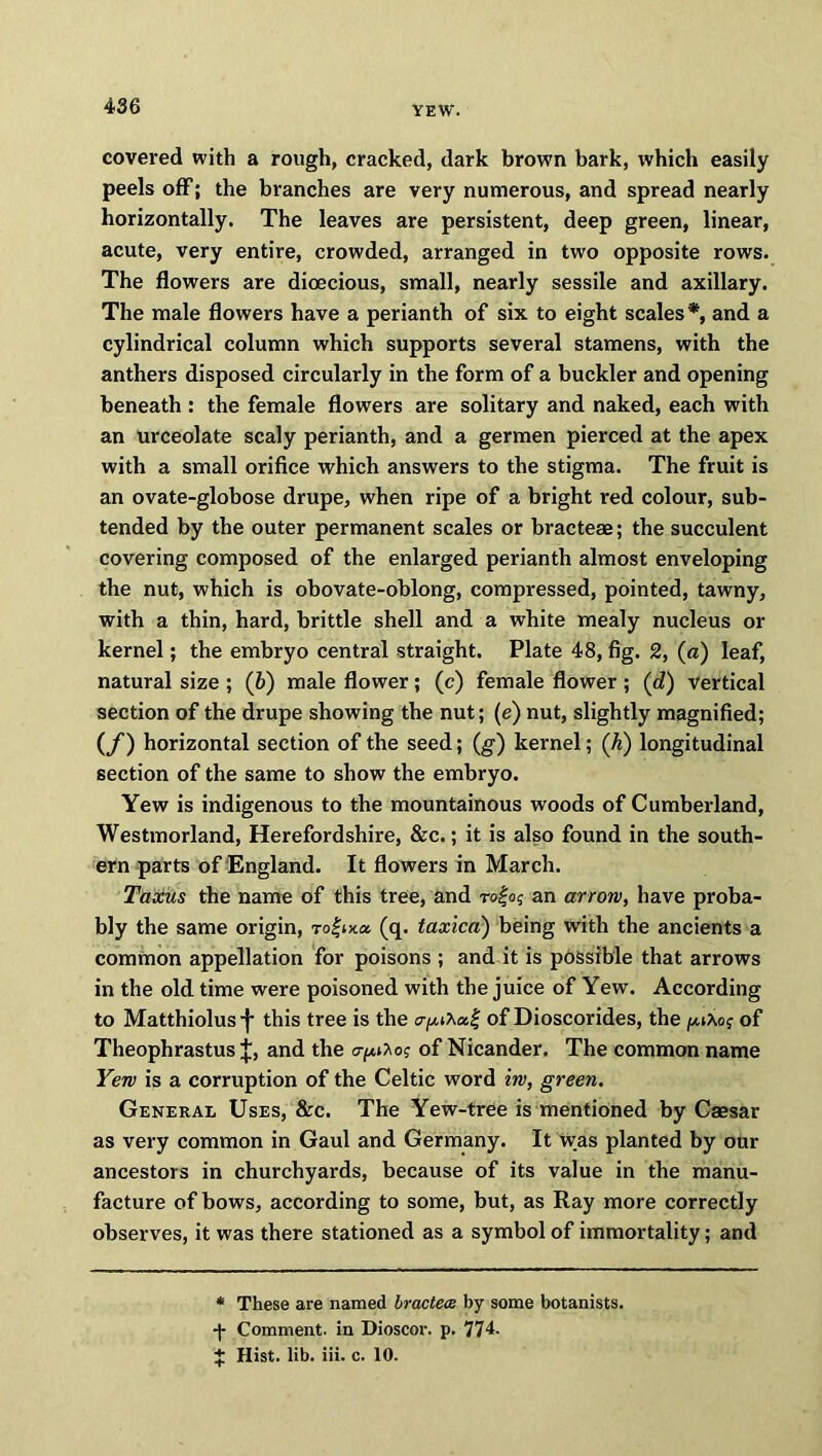 covered with a rough, cracked, dark brown bark, which easily peels off; the branches are very numerous, and spread nearly horizontally. The leaves are persistent, deep green, linear, acute, very entire, crowded, arranged in two opposite rows. The flowers are dioecious, small, nearly sessile and axillary. The male flowers have a perianth of six to eight scales *, and a cylindrical column which supports several stamens, with the anthers disposed circularly in the form of a buckler and opening beneath : the female flowers are solitary and naked, each with an urceolate scaly perianth, and a germen pierced at the apex with a small orifice which answers to the stigma. The fruit is an ovate-globose drupe, when ripe of a bright red colour, sub- tended by the outer permanent scales or bracteae; the succulent covering composed of the enlarged perianth almost enveloping the nut, which is obovate-oblong, compressed, pointed, tawny, with a thin, hard, brittle shell and a white mealy nucleus or kernel; the embryo central straight. Plate 48, fig. 2, (a) leaf, natural size ; (6) male flower; (c) female flower ; (d) vertical section of the drupe showing the nut; (e) nut, slightly magnified; (/) horizontal section of the seed; (g) kernel; (h) longitudinal section of the same to show the embryo. Yew is indigenous to the mountainous woods of Cumberland, Westmorland, Herefordshire, &c.; it is also found in the south- ern parts of England. It flowers in March. Taxus the name of this tree, and ro|o? an arrow, have proba- bly the same origin, To|txa (q. taxica) being with the ancients a common appellation for poisons ; and it is possible that arrows in the old time were poisoned with the juice of Yew. According to Matthiolus j- this tree is the of Dioscorides, the of Theophrastus and the er^o? of Nicander. The common name Yew is a corruption of the Celtic word iw, green. General Uses, &c. The Yew-tree is mentioned by Caesar as very common in Gaul and Germany. It was planted by our ancestors in churchyards, because of its value in the manu- facture of bows, according to some, but, as Ray more correctly observes, it was there stationed as a symbol of immortality; and * These are named bractecs by some botanists. -{- Comment, in Dioscor. p. 774. J Hist. lib. iii. c. 10.