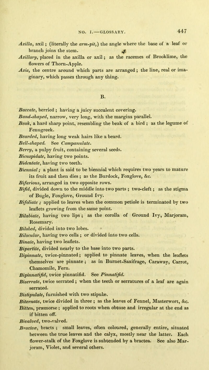 Axilla, axil; (literally the arm-pit,) the angle where the base of a leaf or branch joins the stem. £ Axillary, placed in the axilla or axil; as the racemes of Brooklime, the flowers of Thorn-Apple. Axis, the centre around which parts are arranged; the line, real or ima- ginary, which passes through any thing. B. Baccate, berried ; having a juicy succulent covering. Band-shaped, narrow, very long, with the margins parallel. Beak, a hard sharp point, resembling the beak of a bird ; as the legume of Fenugreek. Bearded, having long weak hairs like a beard. Bell-shaped. See Campanulate. Berry, a pulpy fruit, containing several seeds. Biuuspndate, having two points. Bidentate, having two teeth. Biennial; a plant is said to be biennial which requires two years to mature its fruit and then dies; as the Burdock, Foxglove, &c. Bifarious, arranged in two opposite rows. Bifid, divided down to the middle into two parts ; two-cleft; as the stigma of Bugle, Foxglove, Ground Ivy. Bifoliate ; applied to leaves when the common petiole is terminated by two leaflets growing from the same point. Bilabiate, having two lips; as the corolla of Ground Ivy, Marjoram, Rosemary. Bilobed, divided into two lobes. Bilocular, having two cells ; or divided into two cells. Binale, having two leaflets. Bipartite, divided nearly to the base into two parts. Bipinnate, twice-pinnated; applied to pinnate leaves, when the leaflets themselves are pinnate ; as in Burnet-Saxifrage, Caraway, Carrot, Chamomile, Fern. Bipinnatifid, twice pinnatifid. See Pinnatifid. Biserrate, twice serrated; when the teeth or serratures of a leaf are again serrated. Bistipulate, furnished with two stipulae. Biternate, twice divided in three ; as the leaves of Fennel, Masterwort, &c. Bitten, praemorse; applied to roots when obtuse and irregular at the end as if bitten off. Bivalved, two-valved. Bractece, bracts ; small leaves, often coloured, generally entire, situated between the true leaves and the calyx, mostly near the latter. Each flower-stalk of the Foxglove is subtended by a bractea. See also Mar- joram, Violet, and several others.