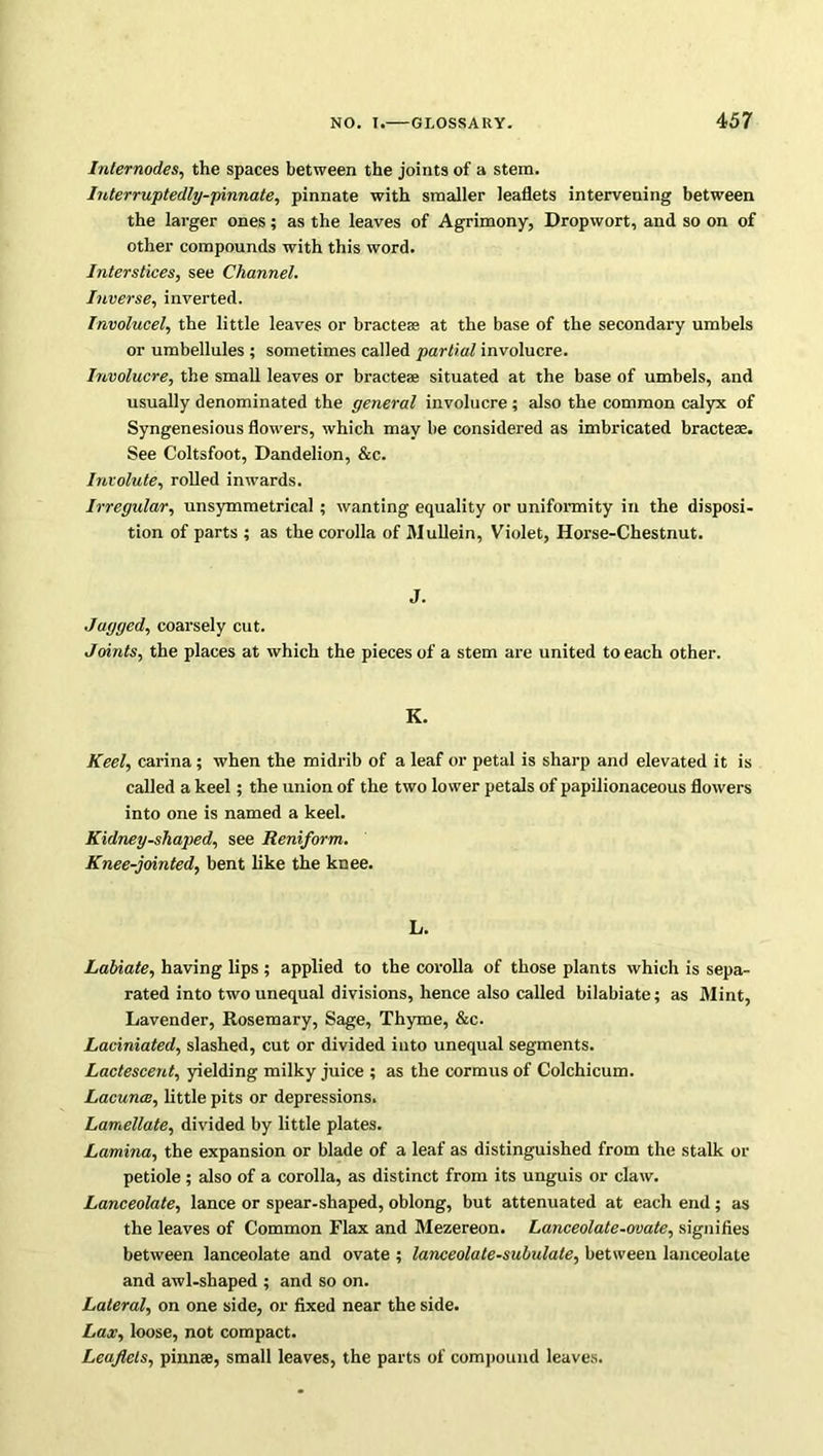 Internodes, the spaces between the joints of a stern. Interruptedly-pinnate, pinnate with smaller leaflets intervening between the larger ones; as the leaves of Agrimony, Dropwort, and so on of other compounds with this word. Interstices, see Channel. Inverse, inverted. Involucel, the little leaves or bractes at the base of the secondary umbels or umbellules ; sometimes called partial involucre. Involucre, the small leaves or bracteae situated at the base of umbels, and usually denominated the general involucre; also the common calyx of Syngenesious flowers, which may be considered as imbricated bracteae. See Coltsfoot, Dandelion, &c. Involute, rolled inwards. Irregular, unsymmetrical ; wanting equality or uniformity in the disposi- tion of parts ; as the corolla of Mullein, Violet, Horse-Chestnut. J. Jagged, coarsely cut. Joints, the places at which the pieces of a stem are united to each other. K. Keel, carina; when the midrib of a leaf or petal is sharp and elevated it is called a keel; the union of the two lower petals of papilionaceous flowers into one is named a keel. Kidney-shaped, see Reniform. Knee-jointed, bent like the knee. L. Labiate, having lips ; applied to the corolla of those plants which is sepa- rated into two unequal divisions, hence also called bilabiate; as Mint, Lavender, Rosemary, Sage, Thyme, &c. Laciniated, slashed, cut or divided into unequal segments. Lactescent, yielding milky juice ; as the cormus of Colchicum. Lacunas, little pits or depressions. Lamellate, divided by little plates. Lamina, the expansion or blade of a leaf as distinguished from the stalk or petiole ; also of a corolla, as distinct from its unguis or claw. Lanceolate, lance or spear-shaped, oblong, but attenuated at each end ; as the leaves of Common Flax and Mezereon. Lanceolate-ovate, signifies between lanceolate and ovate ; lanceolate-subulate, between lanceolate and awl-shaped ; and so on. Lateral, on one side, or fixed near the side. Lax, loose, not compact. Leaflets, pinnae, small leaves, the parts of compound leaves.