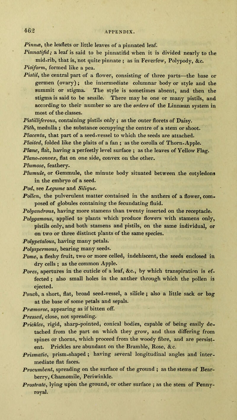 Pinna, the leaflets or little leaves of a pinnated leaf. Pinnatifid; a leaf is said to be pinnatifid when it is divided nearly to the mid-rib, that is, not quite pinnate ; as in Feverfew, Polypody, &c. Pisiform, formed like a pea. Pistil, the central part of a flower, consisting of three parts—the base or germen (ovary); the intermediate columnar body or style and the summit or stigma. The style is sometimes absent, and then the stigma is said to be sessile. There may be one or many pistils, and according to their number so are the orders of the Linnaean system in most of the classes. Pistilliferous, containing pistils only ; as the outer florets of Daisy. Pith, medulla ; the substance occupying the centre of a stem or shoot. Placenta, that part of a seed-vessel to which the seeds are attached. Plaited, folded like the plaits of a fan ; as the corolla of Thorn-Apple. Plane, flat, having a perfeetly level surface ; as the leaves of Yellow Flag. Plano-convex, flat on one side, convex on the other. Plumose, feathery. Plumule, or Gemmule, the minute body situated between the cotyledons in the embryo of a seed. Pod, see Legume and Silique. Pollen, the pulverulent matter contained in the anthers of a flower, com- posed of globules containing the fecundating fluid. Polyandrous, having more stamens than twenty inserted on the receptacle. Polygamous, applied to plants which produce flowers with stamens only, pistils only, and both stamens and pistils, on the same individual, or on two or three distinct plants of the same species. Polypetalous, having many petals. Polyspermous, bearing many seeds. Pome, a fleshy fruit, two or more celled, indehiscent, the seeds enclosed in dry cells ; as the common Apple. Pores, apertures in the cuticle of a leaf, &c., by which transpiration is ef- fected ; also small holes in the anther through which the pollen is ejected. Pouch, a short, flat, broad seed-vessel, a silicle; also a little sack or bag at the base of some petals and sepals. Pramorse, appearing as if bitten off. Pressed, close, not spreading. Prickles, rigid, sharp-pointed, conical bodies, capable of being easily de- tached from the part on which they grow, and thus differing from spines or thorns, which proceed from the woody fibre, and are persist- ent. Prickles are abundant on the Bramble, Rose, &c. Prismatic, prism-shaped ; having several longitudinal angles and inter- mediate flat faces. Procumbent, spreading on the surface of the ground ; as the stems of Bear- berrv, Chamomile, Periwinkle. Prostrate, lying upon the ground, or other surface ; as the stem of Penny- royal.