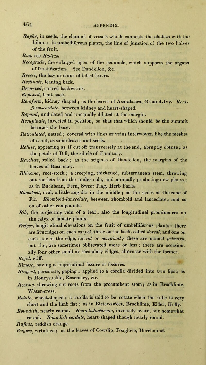Raphe, in seeds, the channel of vessels which connects the chalaza with the hilum ; in umbelliferous plants, the line of junction of the two halves of the fruit. Ray, see Radius. Receptacle, the enlarged apex of the peduncle, which supports the organs of fructification. See Dandelion, &c. Recess, the bay or sinus of lobed leaves. Reclinate, leaning back. Recurved, curved backwards. ReJlejced, bent back. Reniform, kidney-shaped ; as the leaves of Asarabacca, Ground-Ivy. Reni- form-cordate, between kidney and heart-shaped. Repand, undulated and unequally dilated at the margin. Resupinate, inverted in position, so that that which should be the summit becomes the base. Reticulated, netted ; covered with lines or veins interwoven like the meshes of a net, as some leaves and seeds. Retuse, appearing as if cut off transversely at the end, abruptly obtuse; as the petals of Dill, the silicle of Fumitory. Revolute, rolled back; as the stigmas of Dandelion, the margins of the leaves of Rosemary. Rhizoma, root-stock ; a creeping, thickened, subterranean stem, throwing- out rootlets from the under side, and annually producing new plants ; as in Buckbean, Fern, Sweet Flag, Herb Paris. Rhomboid, oval, a little angular in the middle ; as the scales of the cone of Fir. Rhomboid-lanceolate, between rhomboid and lanceolate; and so on of other compounds. Rib, the projecting vein of a leaf; also the longitudinal prominences on the calyx of labiate plants. Ridges, longitudinal elevations on the fruit of umbelliferous plants: there are five ridges on each carpel, three on the back, called dorsal, and one on each side at the edge, lateral or marginal; these are named primary, but they are sometimes obliterated more or less; there are occasion- ally four other small or secondary ridges, alternate with the former. Rigid, stiff. Rimose, having a longitudinal fissure or fissures. Ringent, personate, gaping ; applied to a corolla divided into two lips ; as in Honeysuckle, Rosemary, &c. Rooting, throwing out roots from the procumbent stem; as in Brooklime, Water-cress. Rotate, wheel-shaped ; a corolla is said to be rotate when the tube is very short and the limb flat; as in Bitter-sweet, Brooklime, Elder, Holly. Roundish, nearly round. Roundish-obovate, inversely ovate, but somewhat round. Roundish-cordate, heart-shaped though nearly round. Rufous, reddish orange. Rugose, wrinkled ; as the leaves of Cowslip, Foxglove, Horehound.
