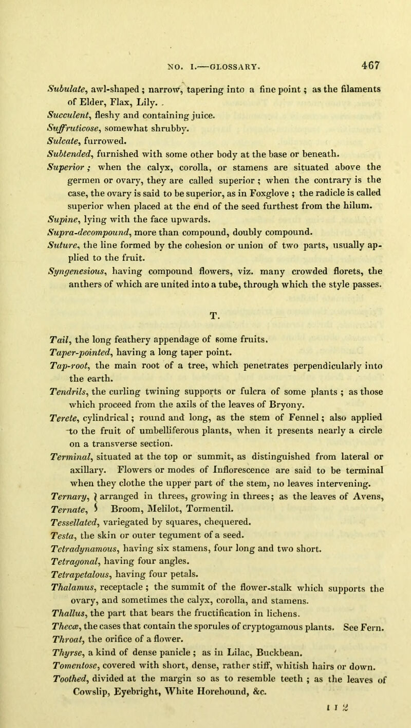 Subulate, awl-shaped ; narrow, tapering into a fine point; as the filaments of Elder, Flax, Lily. . Succulent, fleshy and containing juice. Suffruticose, somewhat shrubby. Sulcate, furrowed. Subtended, furnished with some other body at the base or beneath. Superior ; when the calyx, corolla, or stamens are situated above the germen or ovary, they are called superior ; when the contrary is the case, the ovary is said to be superior, as in Foxglove ; the radicle is called superior when placed at the end of the seed furthest from the hilum. Supine, lying with the face upwards. Supra-decompound, more than compound, doubly compound. Suture, the line formed by the cohesion or union of two parts, usually ap- plied to the fruit. Syngenesious, having compound flowers, viz. many crowded florets, the anthers of which are united into a tube, through which the style passes. T. Tail, the long feathery appendage of some fruits. Taper-pointed, having a long taper point. Tap-root, the main root of a tree, which penetrates perpendicularly into the earth. Tendrils, the curling twining supports or fulcra of some plants ; as those which proceed from the axils of the leaves of Bryony. Terete, cylindrical; round and long, as the stem of Fennel; also applied -to the fruit of umbelliferous plants, when it presents nearly a circle on a transverse section. Terminal, situated at the top or summit, as distinguished from lateral or axillary. Flowers or modes of Inflorescence are said to be terminal when they clothe the upper part of the stem, no leaves intervening. Ternary, \ arranged in threes, growing in threes; as the leaves of Avens, Ternate, $ Broom, Melilot, Tormentil. Tessellated, variegated by squares, chequered. Testa, the skin or outer tegument of a seed. Tetradynamous, having six stamens, four long and two short. Tetragonal, having four angles. Tetrapetalous, having four petals. Thalamus, receptacle ; the summit of the flower-stalk which supports the ovary, and sometimes the calyx, corolla, and stamens. Thallus, the part that bears the fructification in lichens. Theca, the cases that contain the sporules of cryptogamous plants. See Fern. Throat, the orifice of a flower. Thyrse, a kind of dense panicle ; as in Lilac, Buckbean. Tomentose, covered with short, dense, rather stiff, whitish hairs or down. Toothed, divided at the margin so as to resemble teeth ; as the leaves of Cowslip, Eyebright, White Horehound, &c. t I tl