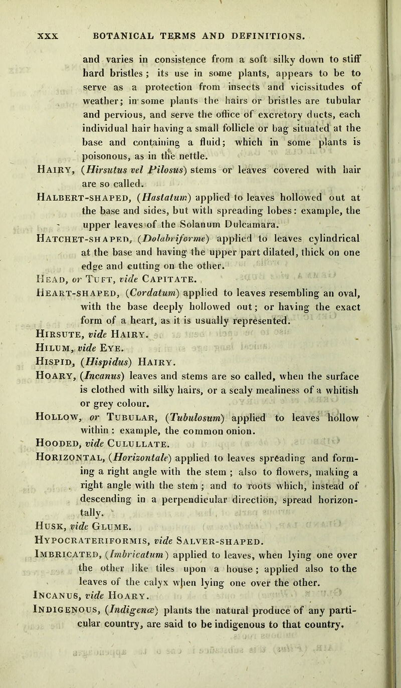 and varies in consistence from a soft silky down to stiff hard bristles ; its use in some plants, appears to be to serve as a protection from insects and vicissitudes of weather; iir some plants the hairs or bristles are tubular and pervious, and serve the office of excretory ducts, each individual hair having a small follicle or hag situated at the base and containing a fluid; which in some plants is poisonous, as in tile nettle. Hairy, (Hirsutus vel Pilosus) stems or leaves covered with hair are so called. Halbert-shaped, (Haslatum) applied to leaves hollowed out at the base and sides, but with spreading lobes: example, the upper leaves of the Solatium Dulcamara. Hatchet-shaped, (Dolabriforme) applied to leaves cylindrical at the base and having the upper part dilated, thick on one edge and cutting on the other. Head, or Tuft, vide Capitate. Heart-shaped, (Cordatum) applied to leaves resembling an oval, with the base deeply hollowed out; or having the exact form of a heart, as it is usually represented. Hirsute, vide Hairy. Hilum, vide Eye. Hispid, (Hispidus) Hairy. Hoary, (Incanus) leaves and stems are so called, when the surface is clothed with silky hairs, or a scaly mealiness of a whitish or grey colour. Hollow, or Tubular, (Tubulosum) applied to leaves hollow within : example, the common onion. Hooded, vide Culullate. Horizontal, (Horizontal) applied to leaves spreading and form- ing a right angle with the stem ; also to flowers, making a right angle with the stem ; and to roots which, instead of descending in a perpendicular direction, spread horizon- tally. Husk, vide Glume. Hypocrateriformis, vide Salver-shaped. Imbricated, (Imbricatum) applied to leaves, when lying one over the other like tiles upon a house; applied also to the leaves of the calyx wjien lying one over the other. Incanus, vide Hoary. Indigenous, (Indigence) plants the natural produce of any parti- cular country, are said to be indigenous to that country.