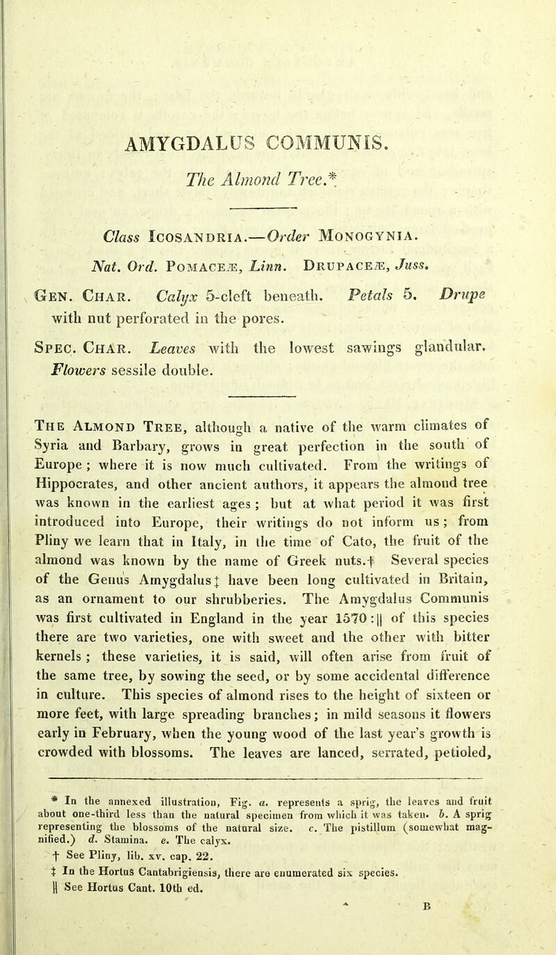 AMYGDALUS COMMUNIS. The Almond Tree.* Class Icosandria.—Order Monogynia. Nat. Ord. PoMACEiE, Linn. Drupacete, Juss. Gen. Char. Calyx 5-cleft beneath. Petals 5. Drupe with nut perforated in the pores. Spec. Char. Leaves with the lowest sawiugs glandular. Flowers sessile double. The Almond Tree, although a native of the warm climates of Syria and Barbary, grows in great perfection in the south of Europe ; where it is now much cultivated. From the writings of Hippocrates, and other ancient authors, it appears the almond tree was known in the earliest ages ; but at what period it was first introduced into Europe, their writings do not inform us; from Pliny we learn that in Italy, in the time of Cato, the fruit of the almond was known by the name of Greek nuts.-f Several species of the Genus Amygdalus £ have been long cultivated in Britain, as an ornament to our shrubberies. The Amygdalus Communis was first cultivated in England in the year 1570 :|| of this species there are two varieties, one with sweet and the other with bitter kernels ; these varieties, it is said, will often arise from fruit of the same tree, by sowing the seed, or by some accidental difference in culture. This sjiecies of almond rises to the height of sixteen or more feet, with large spreading branches; in mild seasons it flowers early in February, when the young wood of the last year’s growth is crowded with blossoms. The leaves are lanced, serrated, petioled. * In the annexed illustration, Fig. a. represents a sprig, the leaves and fruit about one-third less than the natural specimen from which it was taken, b. A sprig representing the blossoms of the natural size. c. The pistillum (somewhat mag- nified.) d. Stamina, e. The calyx. t See Pliny, lib. xv. cap. 22. t In the HortuS Cantabrigiensis, there are enumerated six species. H See Hortus Cant. 10th ed. * B