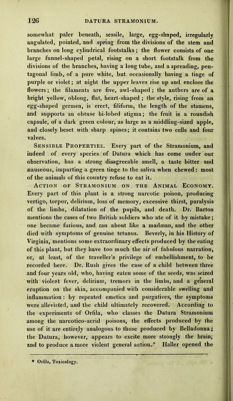 somewhat paler beneath, sessile, large, egg-shaped, irregularly angulated, pointed, and spring from the divisions of the stem and branches on long cylindrical footstalks; the flower consists of one large funnel-shaped petal, rising on a short footstalk from the divisions of the branches, having a long tube, and a spreading, pen- tagonal limb, of a pure white, but occasionally having a tinge of purple or violet; at night the upper leaves rise up and enclose the flowers ; the filaments are five, awl-shaped ; the anthers are of a bright yellow, oblong, flat, heart-shaped ; the style, rising from an egg-shaped germen, is erect, filiform, the length of the stamens, and supports an obtuse bi-lobed stigma; the fruit is a roundish capsule, of a dark green colour, as large as a middling-sized apple, and closely beset with sharp spines; it contains two cells and four valves. Sensible Properties. Every part of the Stramonium, and indeed of every species of Datura which has come under our observation, has a strong disagreeable smell, a taste bitter and nauseous, imparting a green tinge to the saliva when chewed: most of the animals of this country refuse to eat it. Action of Stramonium on the Animal Economy. Every part of this plant is a strong narcotic poison, producing vertigo, torpor, delirium, loss of memory, excessive thirst, paralysis of the limbs, dilatation of the pupils, and death. Dr. Barton mentions the cases of two British soldiers who ate of it by mistake ; one became furious, and ran about like a madman, and the other died with symptoms of genuine tetanus. Beverly, in his History of Virginia, mentions some extraordinary effects produced by the eating of this plant, but they have too much the air of fabulous narration, or, at least, of the traveller’s privilege of embellishment, to be recorded here. Dr. Rush gives the case of a child between three and four years old, who, having eaten some of the seeds, was seized with violent fever, delirium, tremors in the limbs, and a general eruption on the skin, accompanied with considerable swelling and inflammation : by repeated emetics and purgatives, the symptoms were alleviated, and the child ultimately recovered. According to the experiments of Orfila, who classes the Datura Stramonium among the narcotico-acrid poisons, the effects produced by the use of it are entirely analogous to those produced by Belladonna; the Datura, however, appears to excite more strongly the brain, and to produce a more violent general action.-* Haller opened the * Orfila, Toxicology.