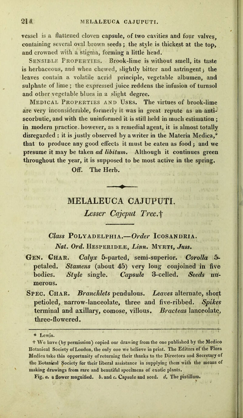 vessel is a flattened cloven capsule, of two cavities and fo\ir valves, containing several oval brown seeds; the style is thickest at the top, and crowned with a stigma, forming a little head. Sensible Properties. Brook-lime is without smell, its taste is herbaceous, and when chewed, slightly bitter and astringent 5 the leaves contain a volatile acrid principle, vegetable albumen, and sulphate of lime ; the expressed juice reddens the infusion of turnsol and other vegetable blues in a slight degree. Medical Properties and Uses. The virtues of brook-lime are very inconsiderable, formerly it was in great repute as an anti- scorbutic, and with the uninformed it is still held in much estimation ; in modern practice, however, as a remedial agent, it is almost totally disregarded : it is justly observed by a writer in the Materia Medica,* that to produce any good effects it must be eaten as food 5 and we presume it may be taken ad libitum. Although it continues green throughout the year, it is supposed to be most active in the spring. Off. The Herb. + MELALEUCA CAJUPUTI. Lesser Cajeput Tree.'f Class Polyadelphia.—Order Icosandria. Nat. Ord. Hesperidea:, Linn. Myrti, Juss. Gen. Char. Calyx 5-parted, semi-superior. Corolla 5- petaled. Stamens (about 45) very long conjoined in five bodies. Style single. Capsule 3-celled. Seeds nu- merous. Spec. Char. Branchlets pendulous. Leaves alternate, short petioled, narrow-lanceolate, three and five-ribbed. Spikes terminal and axillary, comose, villous. Bracteas lanceolate, three-flowered. * Lewis. + We Lave (by permission) copied our drawing from the one published by the Medico Botanical Society ofLondon, the only one we believe in print. The Editors of the Flora Medica take this opportunity of returning their thanks to the Directors and Secretary of the Botanwsal Society for their liberal assistance in supplying them with the means of making drawings from rare and beautiful specimens of exotic plants. Fig. a. a flower magnified, b. and c. Capsule and seed. d. The pistillum.